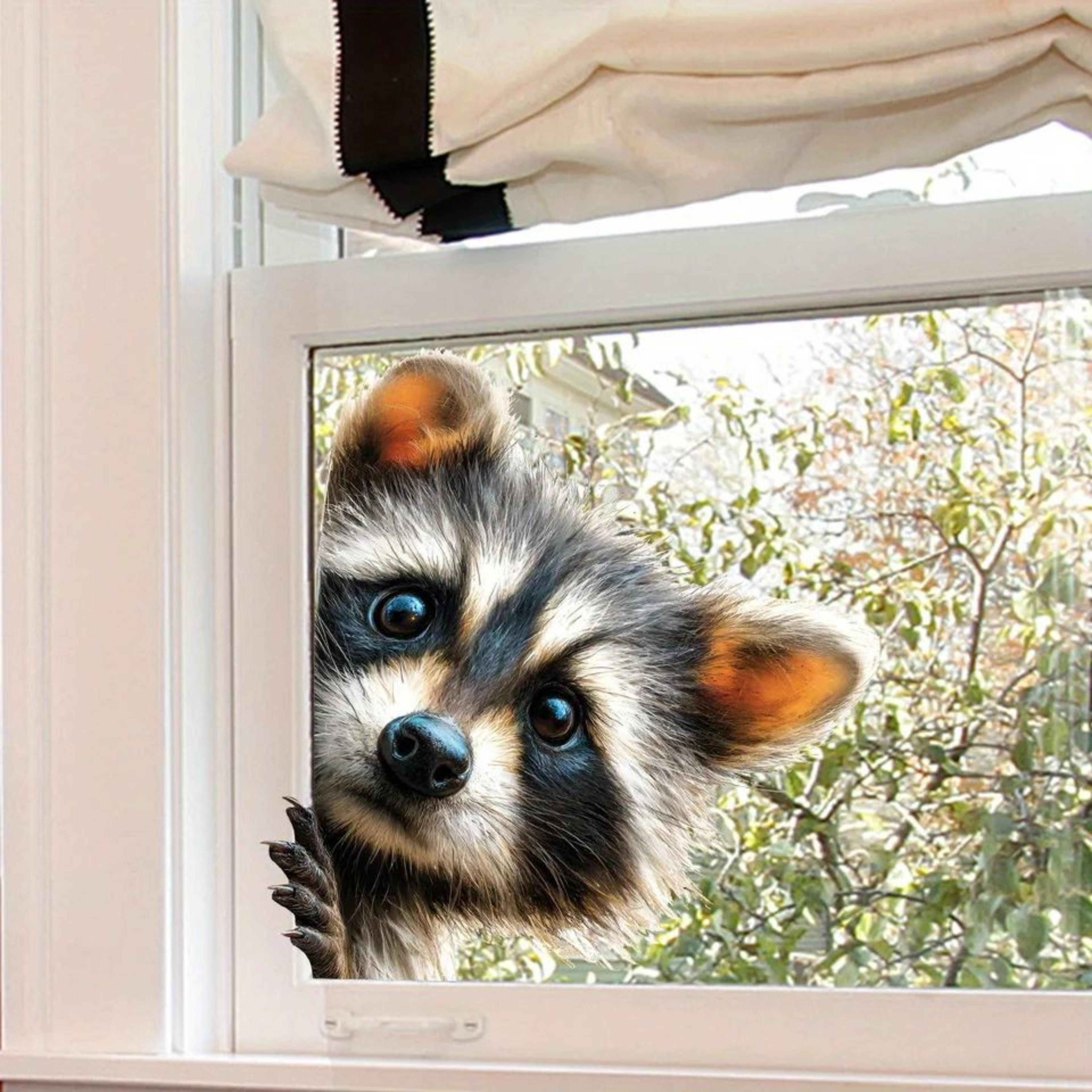 peeking raccoon window cling sticker, static cling window decal for cute home decor
