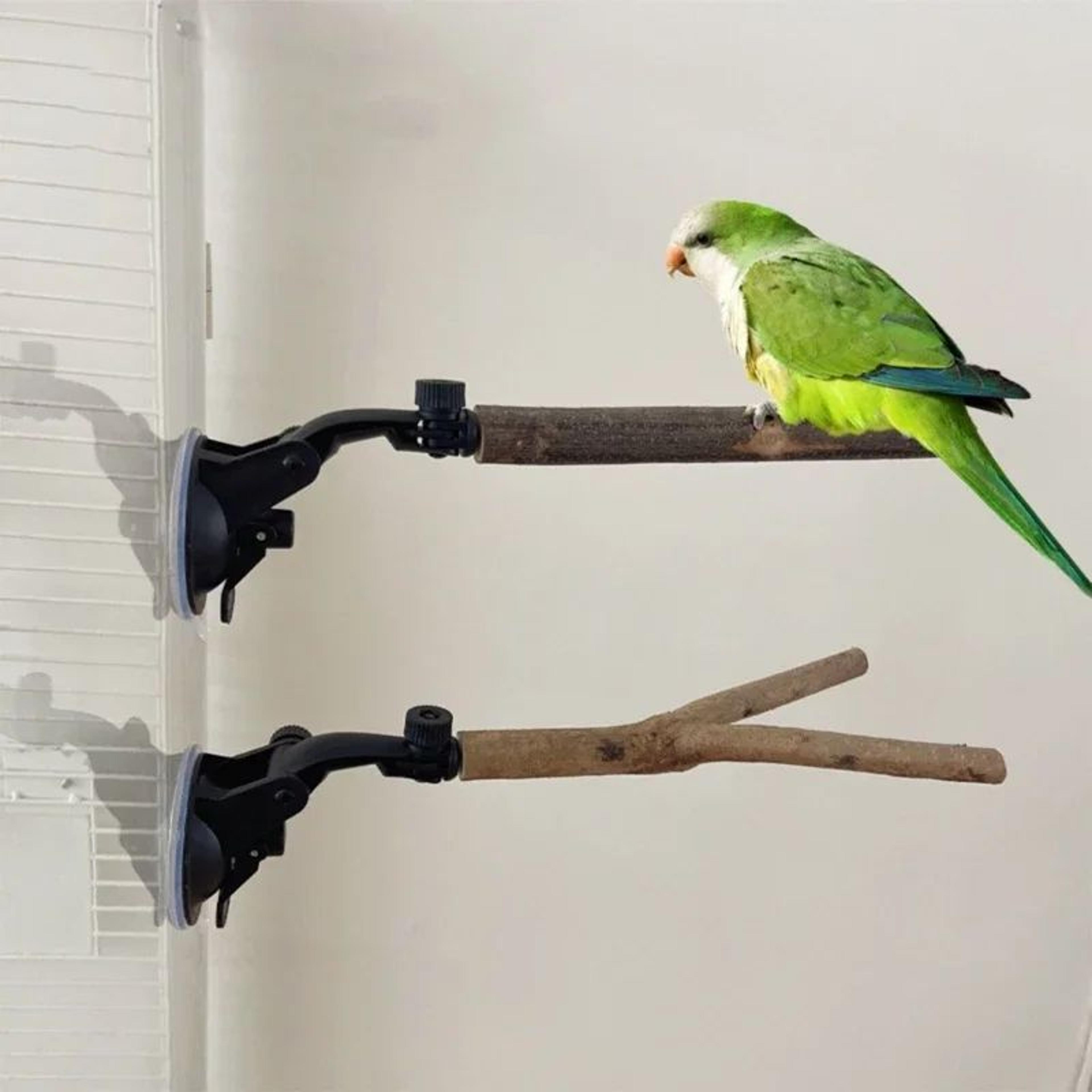suction cup window bird perch stand – natural wood parrot perch for shower, travel & training