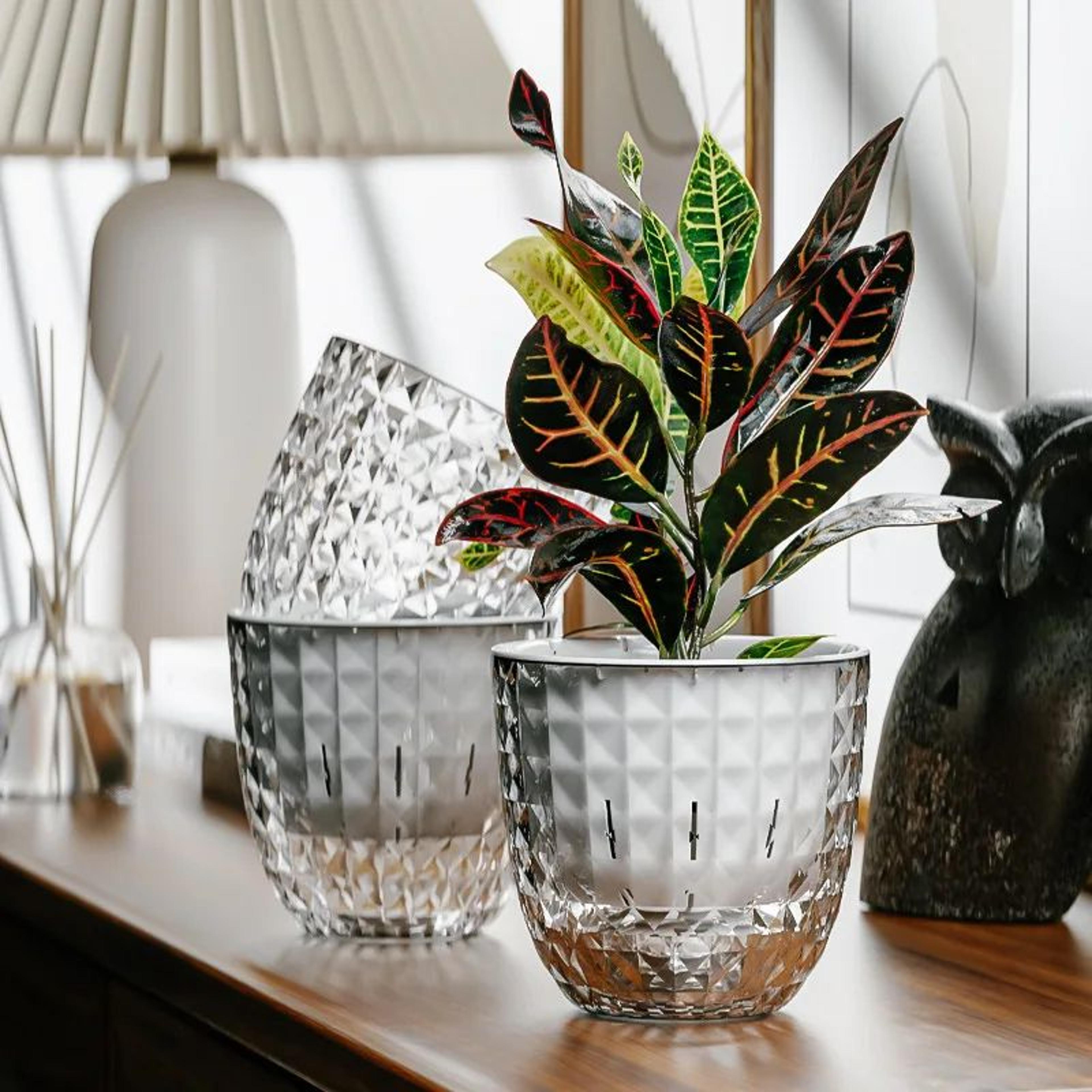clearview self-watering planter pot, double layer transparent pot for succulents and small plants