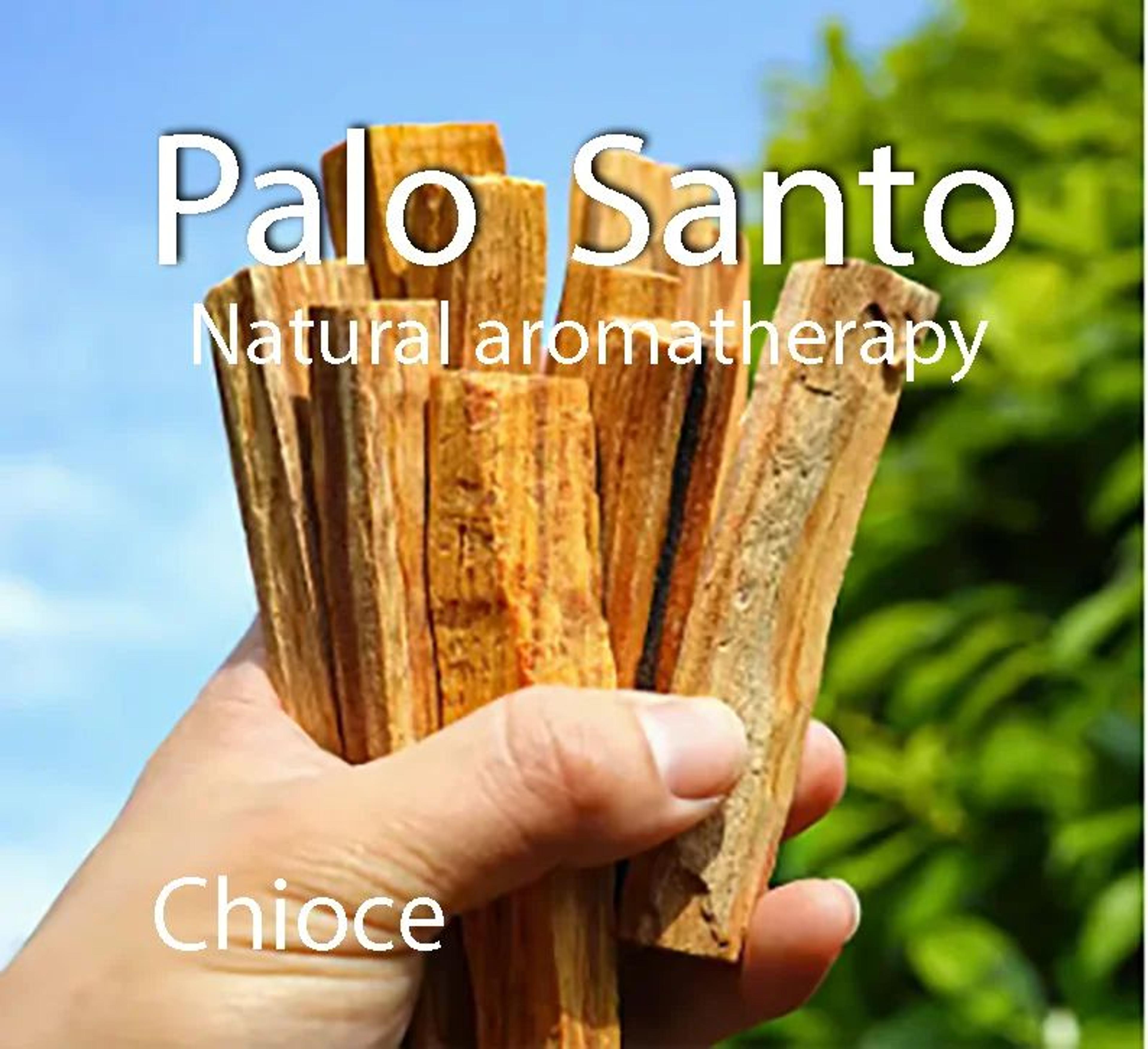 palo santo incense sticks – natural aromatherapy meditation & energy cleansing wood (10-piece set)