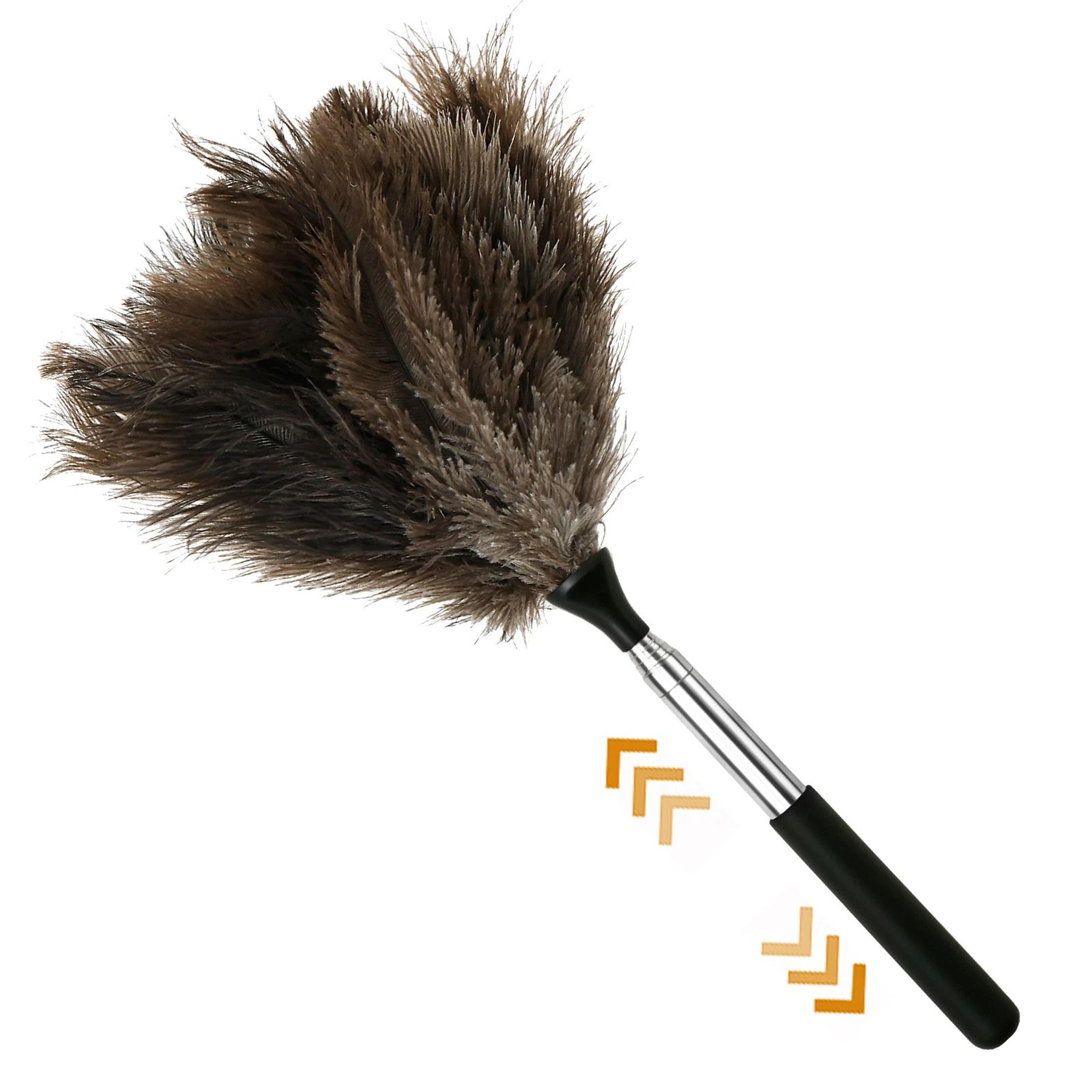 extendable ostrich feather duster with stainless steel long handle for ceiling fans, blinds and furniture