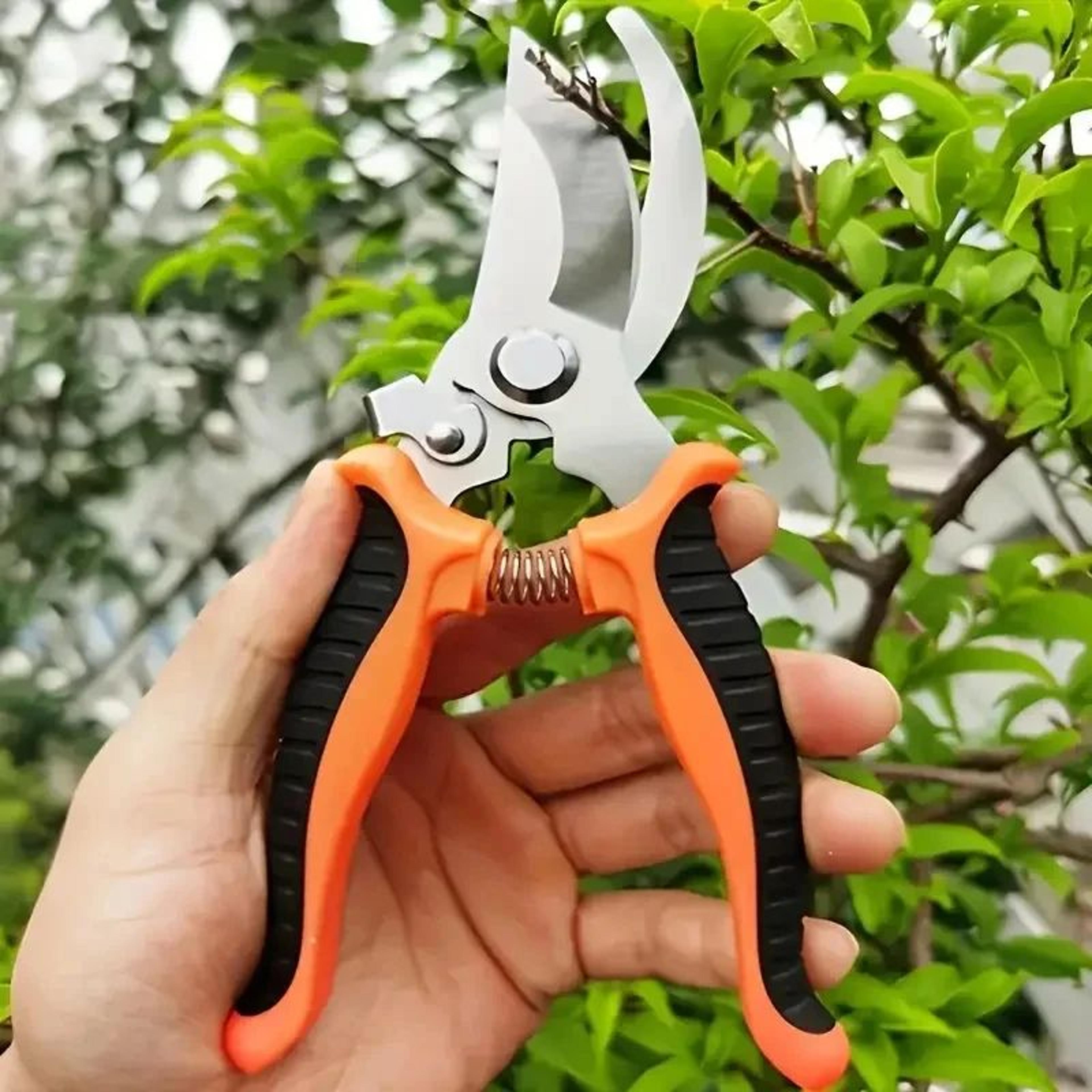 precision bird beak pruning scissors – stainless steel garden pruning shears for effortless cutting