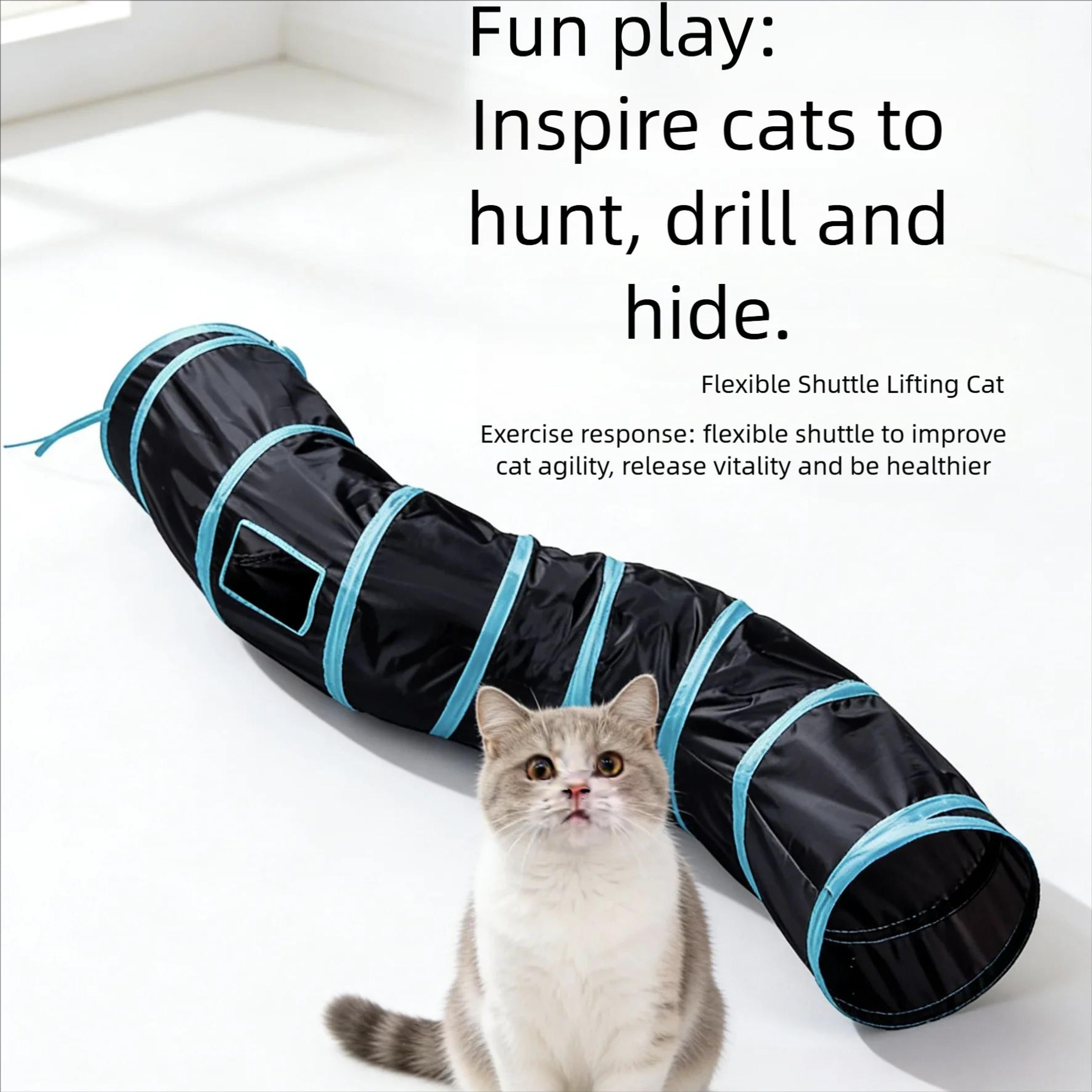peek & pounce collapsible cat tunnel and interactive cat toy