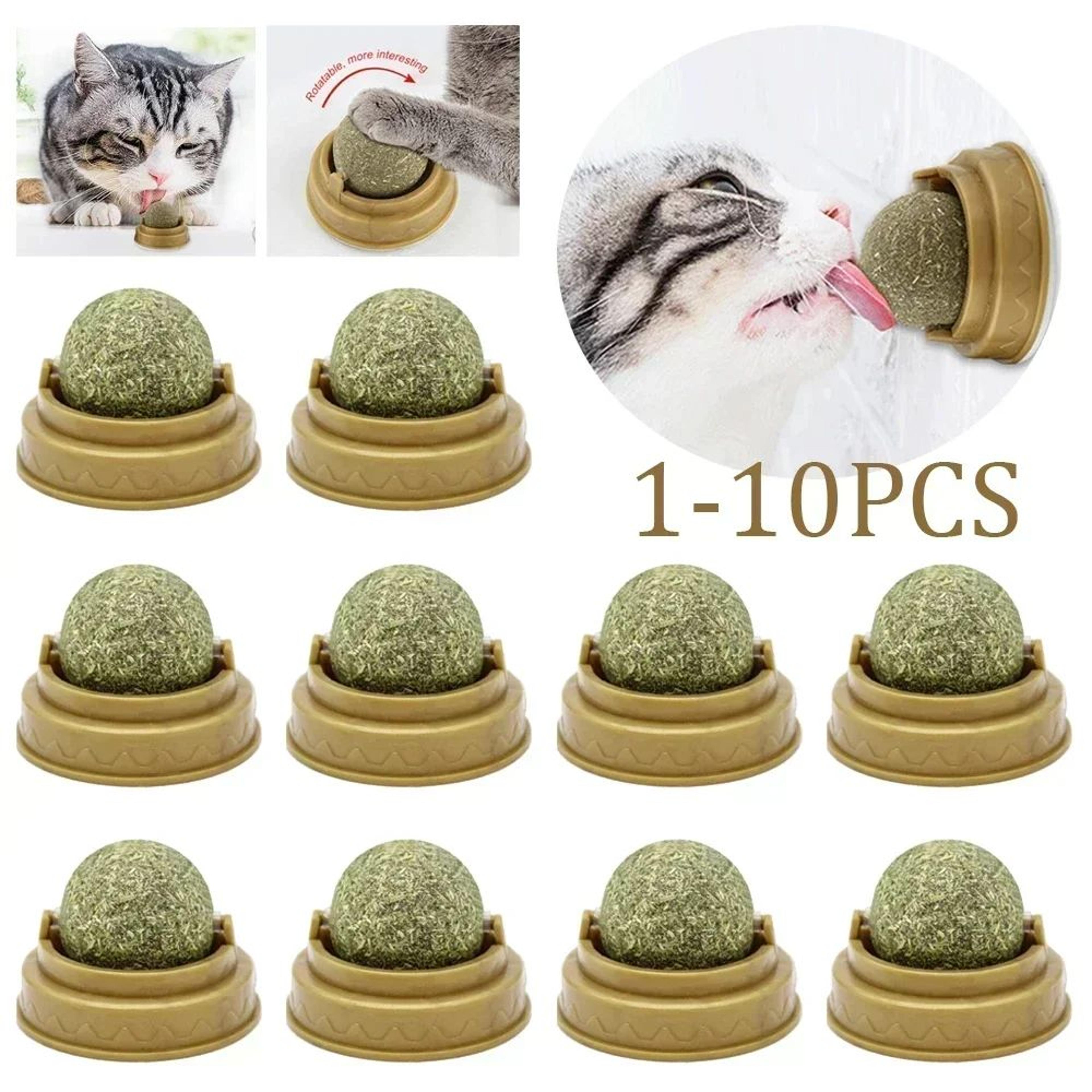 natural catnip dental ball toy for indoor cats