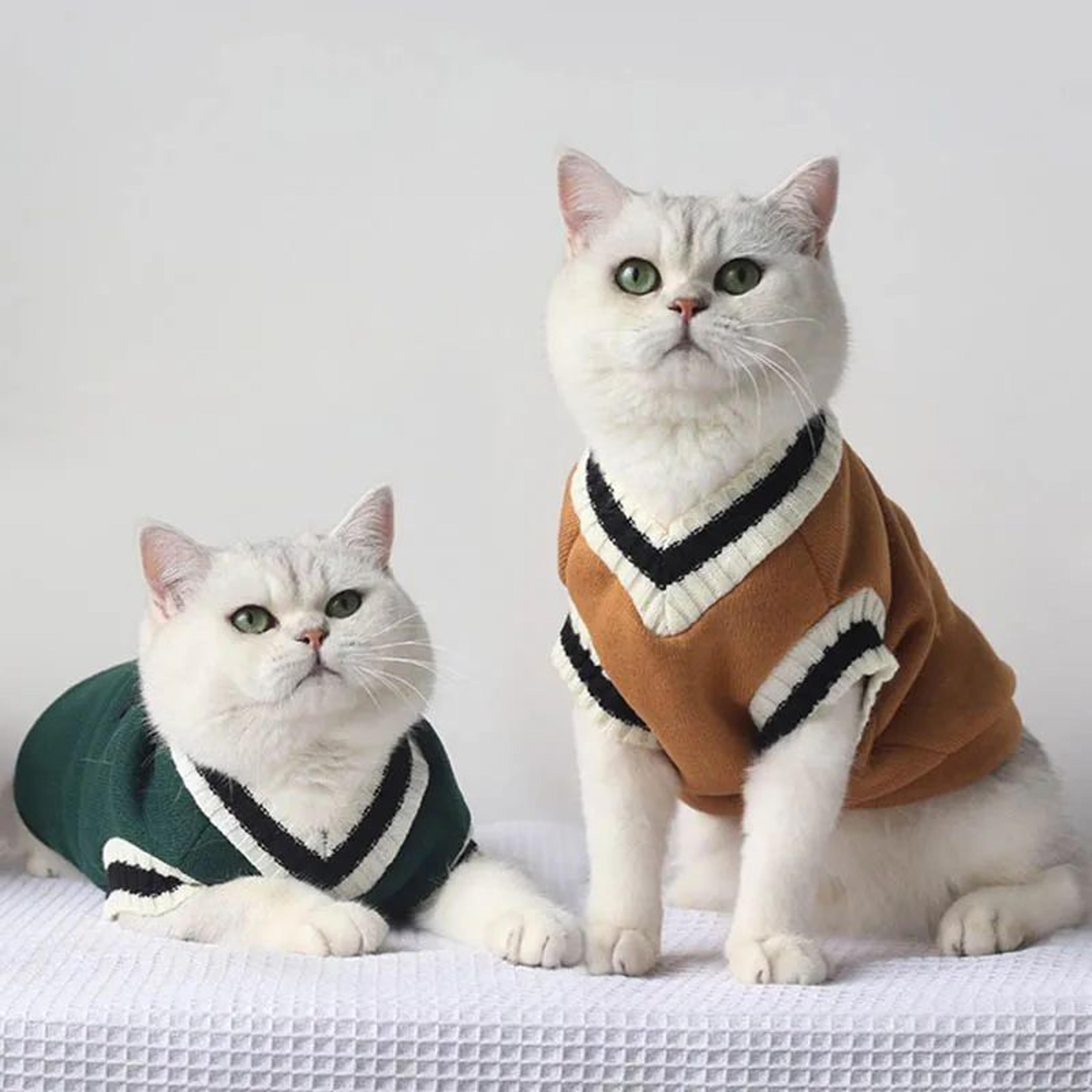 cozypet winter pullover sweater for small dogs and cats