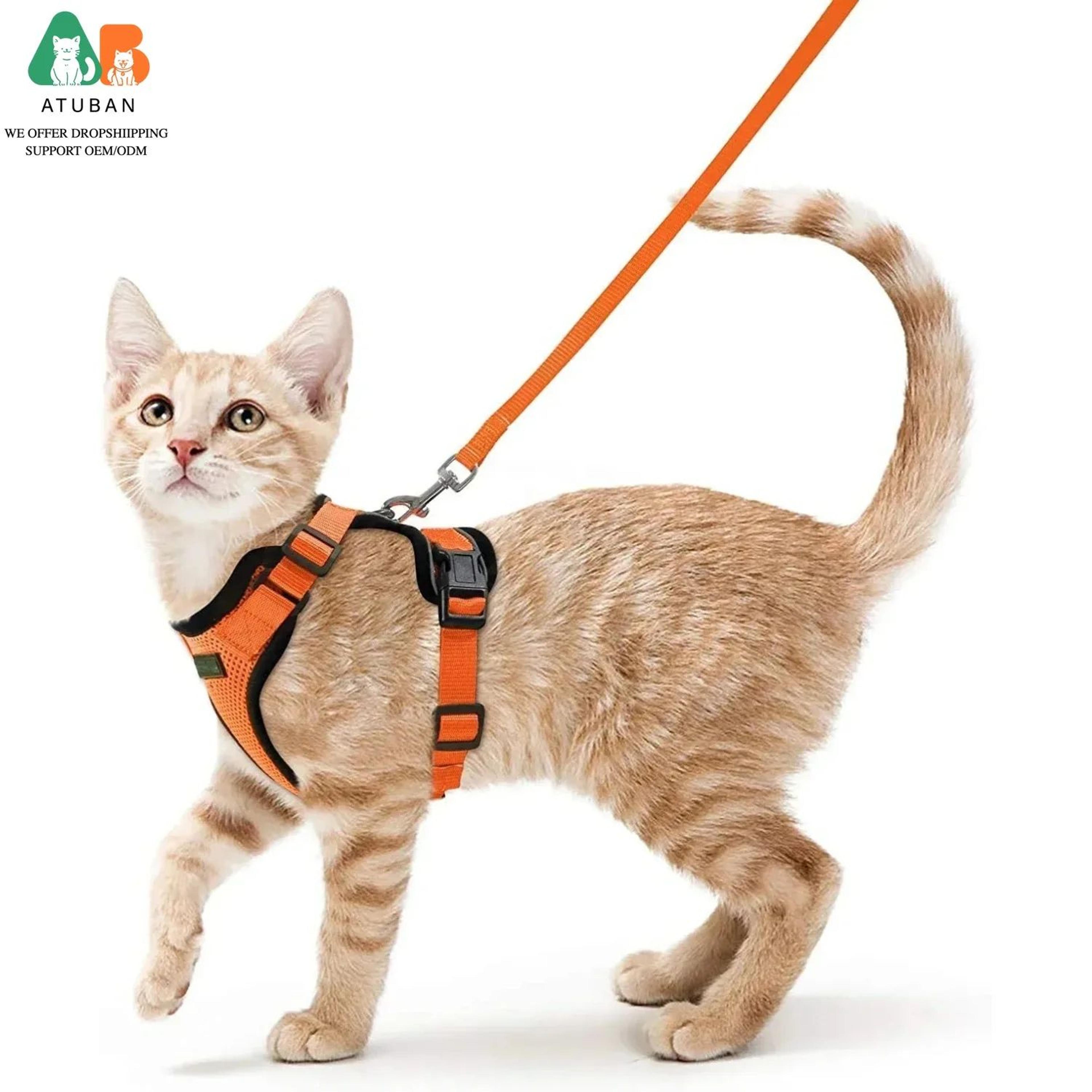 pawsecure reflective cat harness and leash – escape-proof adjustable vest for safe outdoor adventures