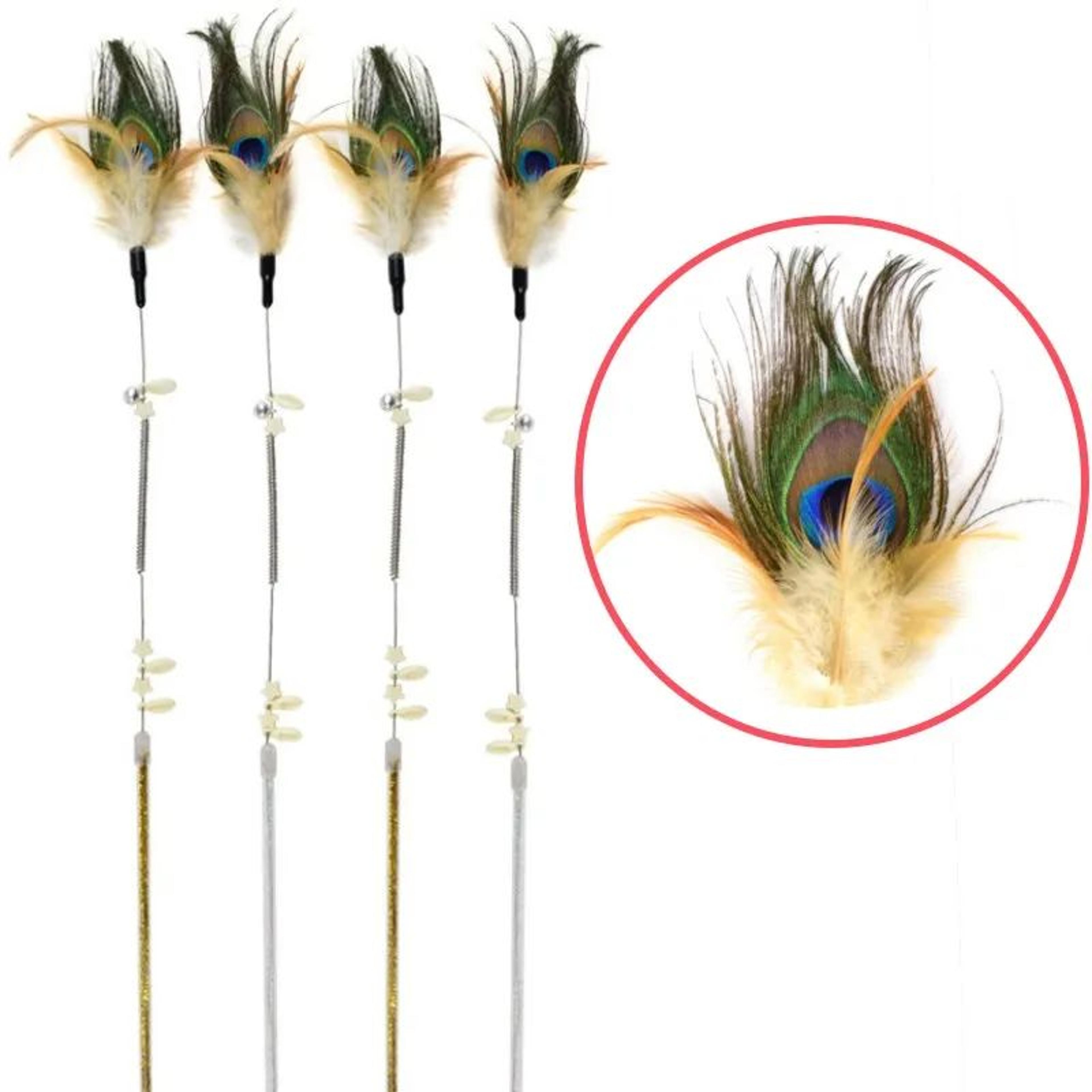 pounceplay peacock feather cat wand – interactive cat feather toy for active indoor cats