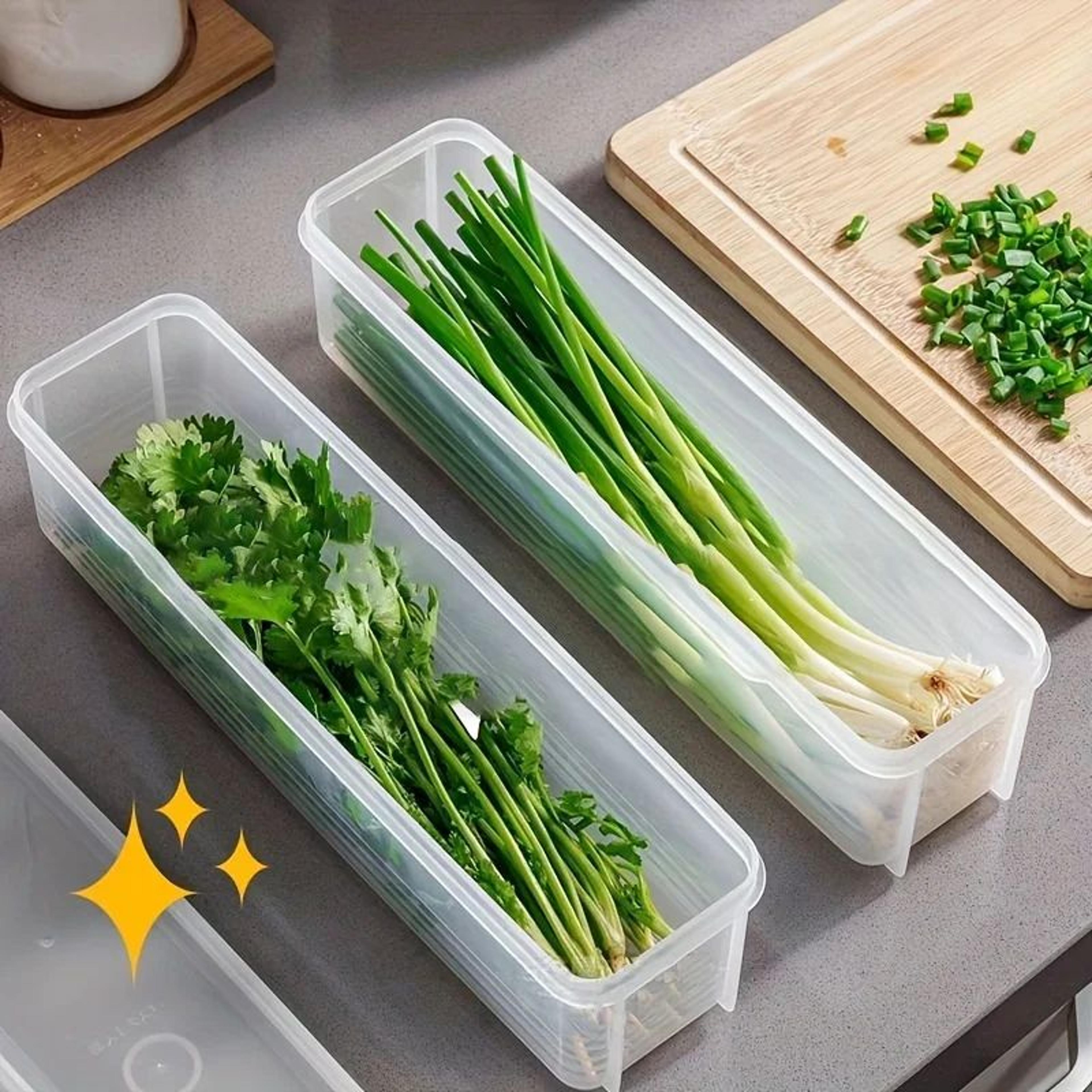 freshlock herb storage container – reusable vegetable storage container for crisp greens & produce