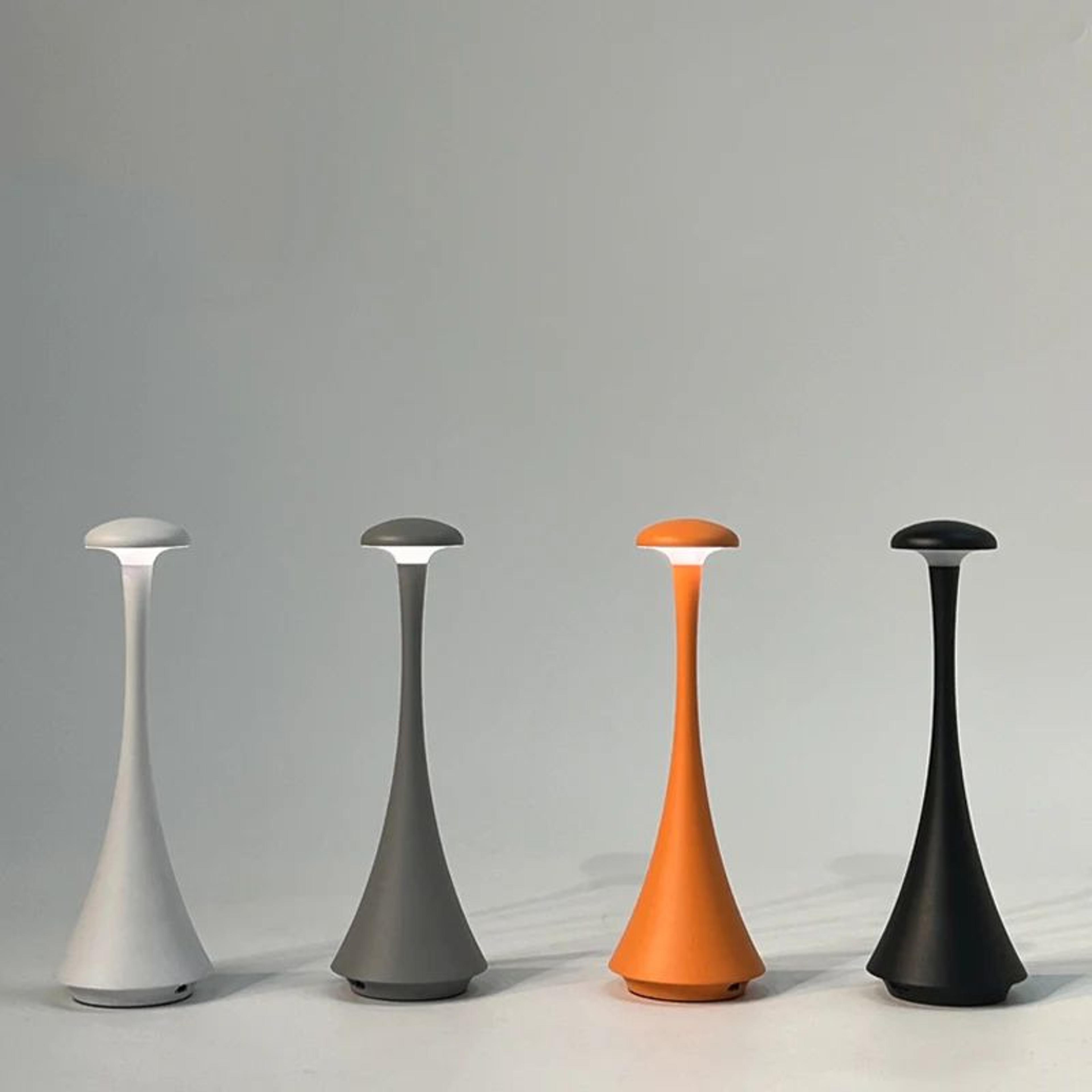 rechargeable mushroom table lamp usb-c touch cordless led bedside light