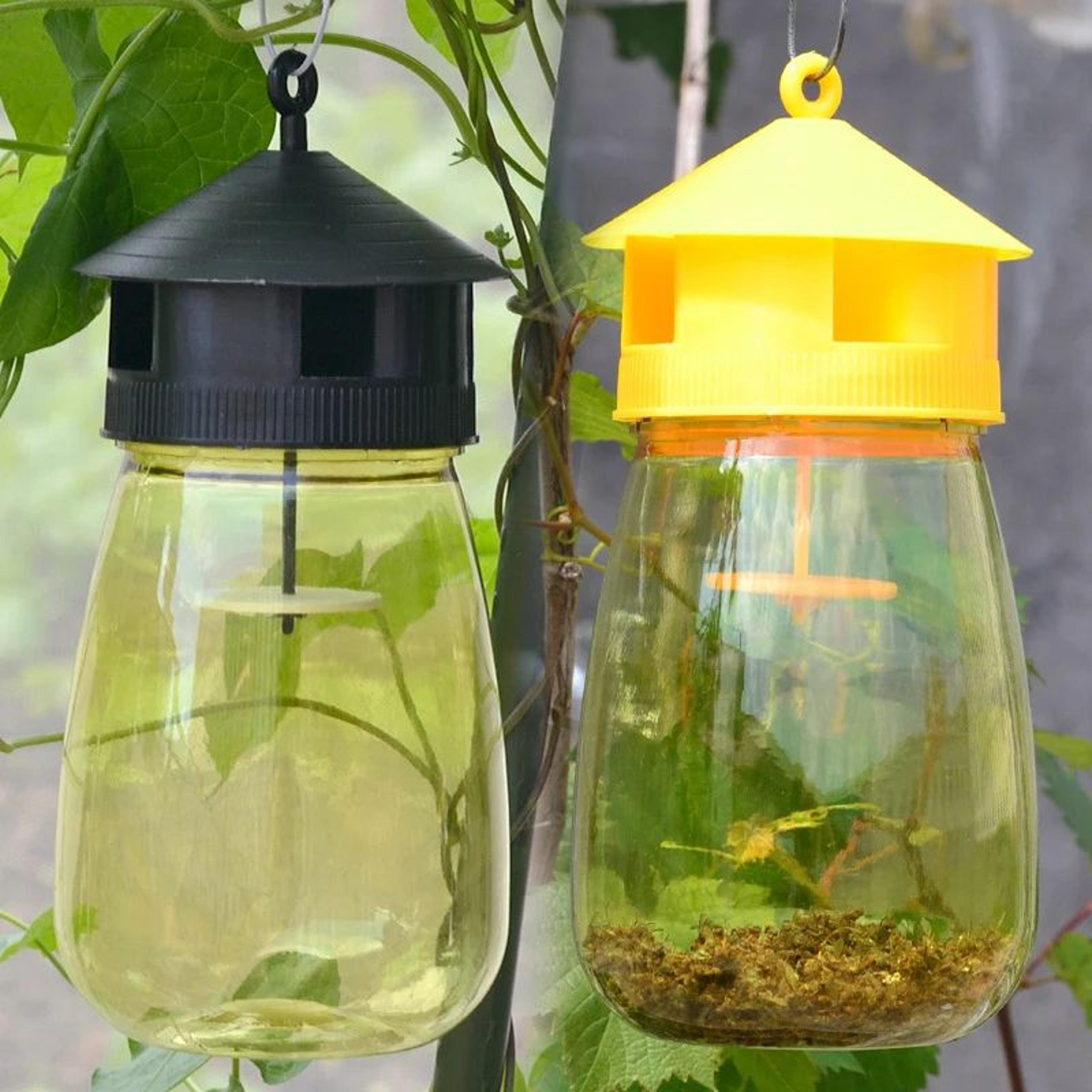 outdoor hanging wasp trap and sticky insect trap for flies and mosquitoes