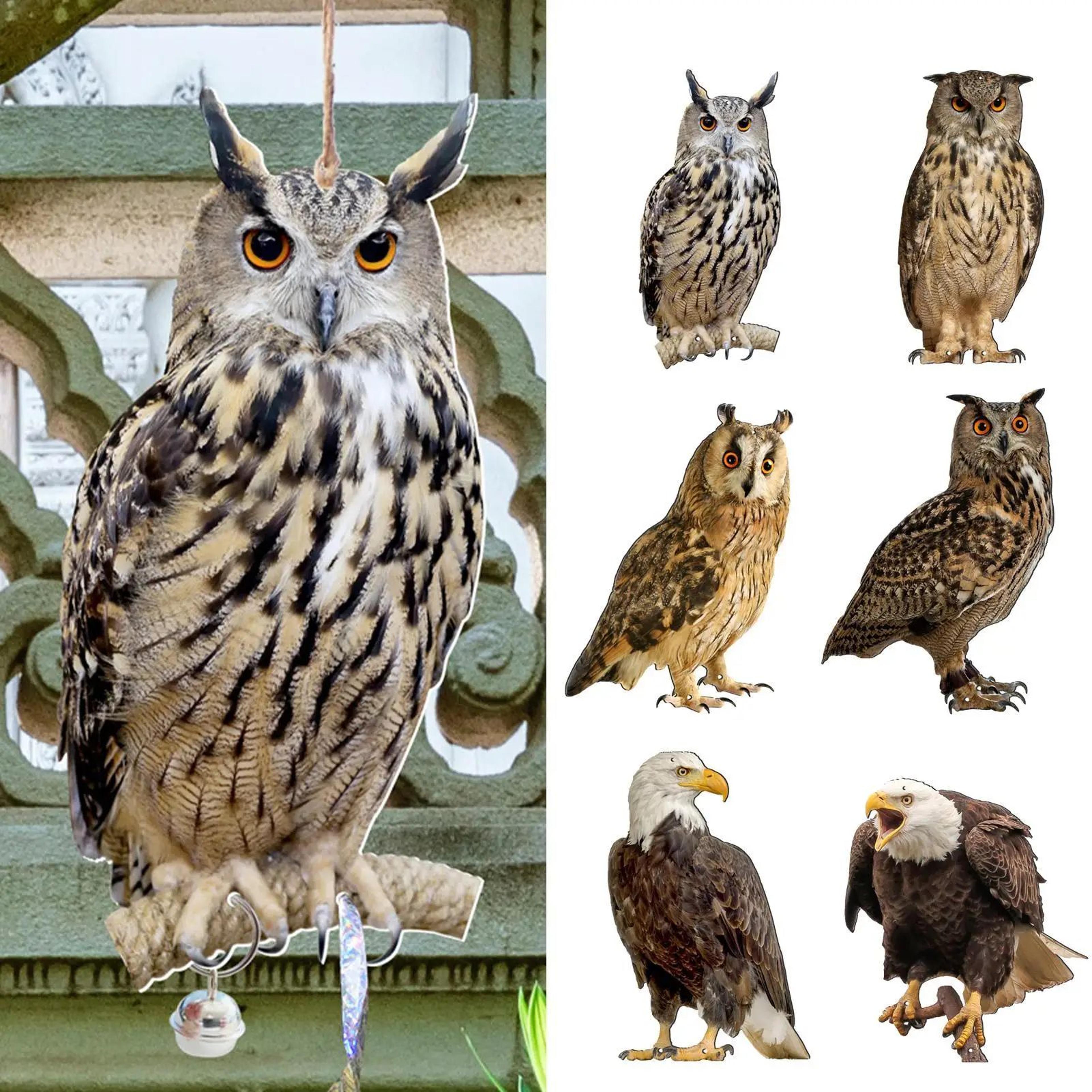 reflective owl bird deterrent hanging garden bird repeller