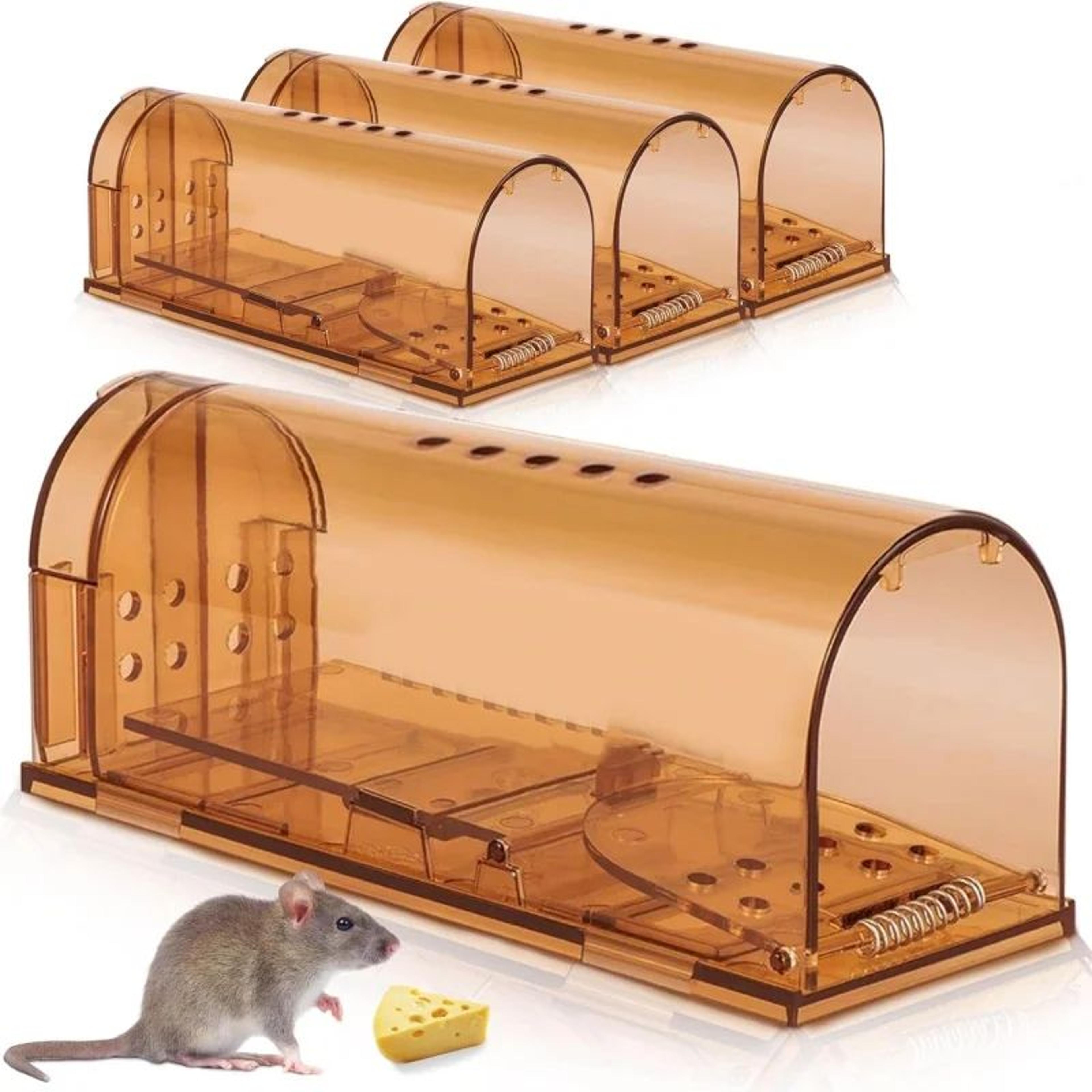 safecatch humane mouse trap reusable catch and release cage
