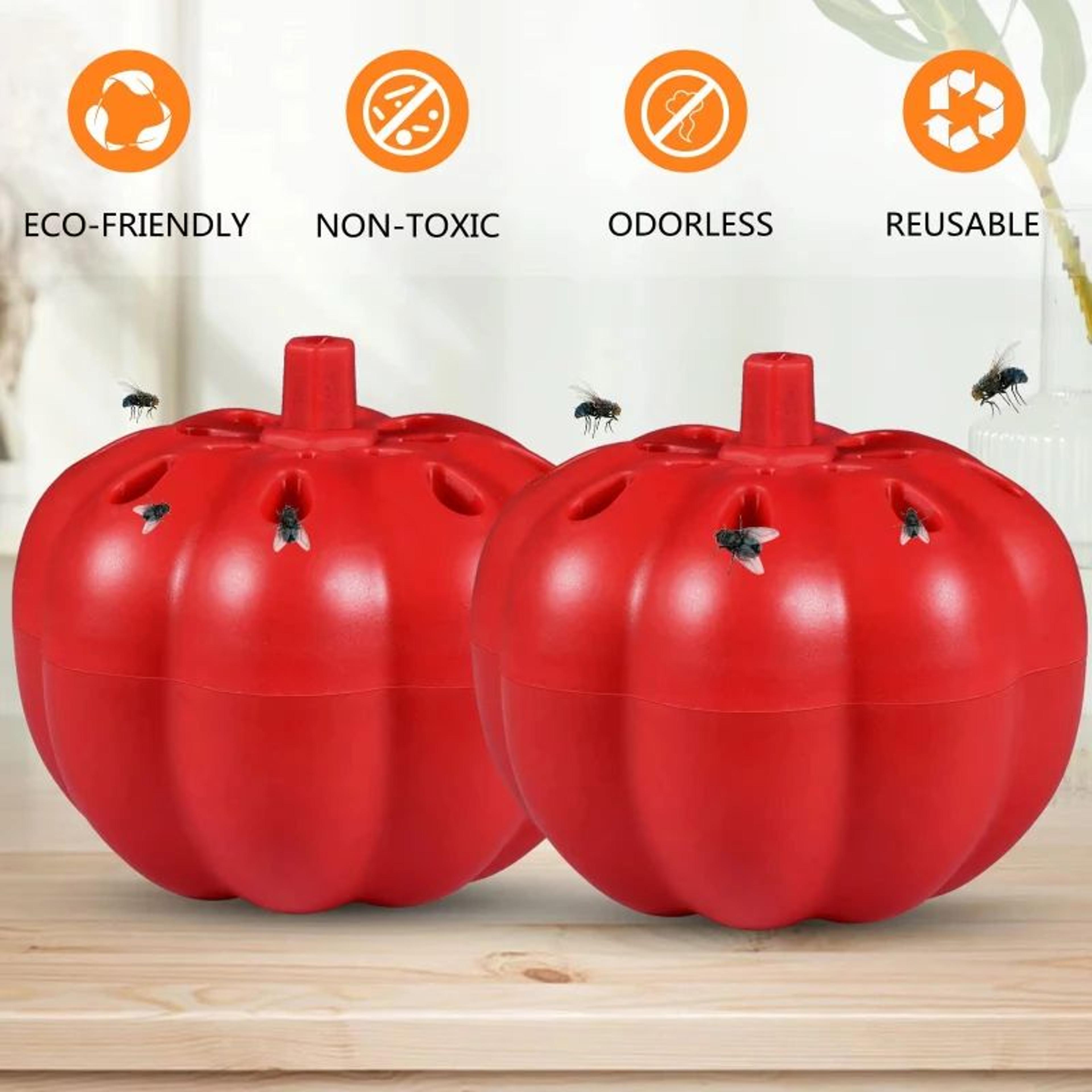 clearcatch reusable fruit fly trap for indoor and outdoor pest control
