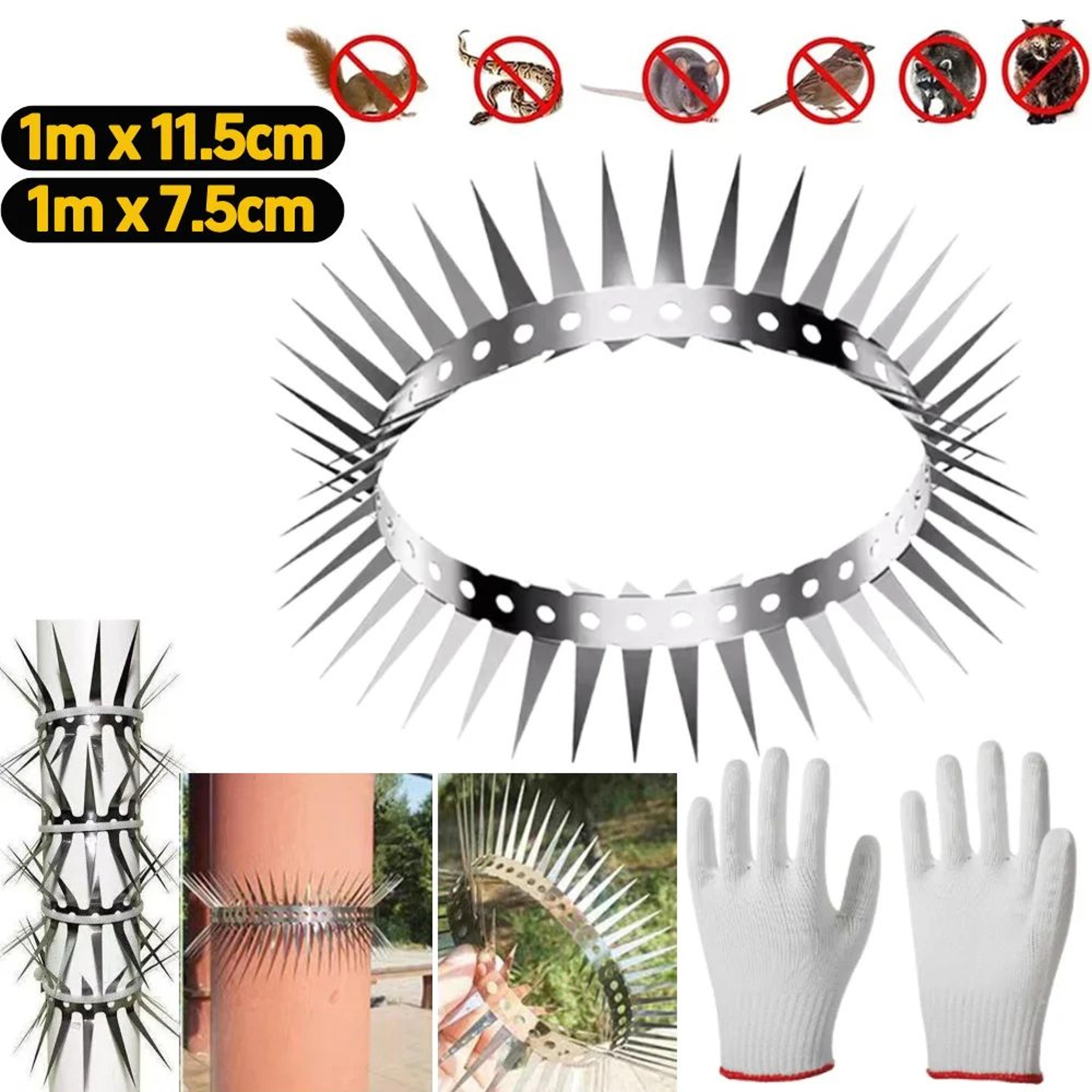 safeguard 1m stainless steel bird spikes for pigeon and pest deterrence