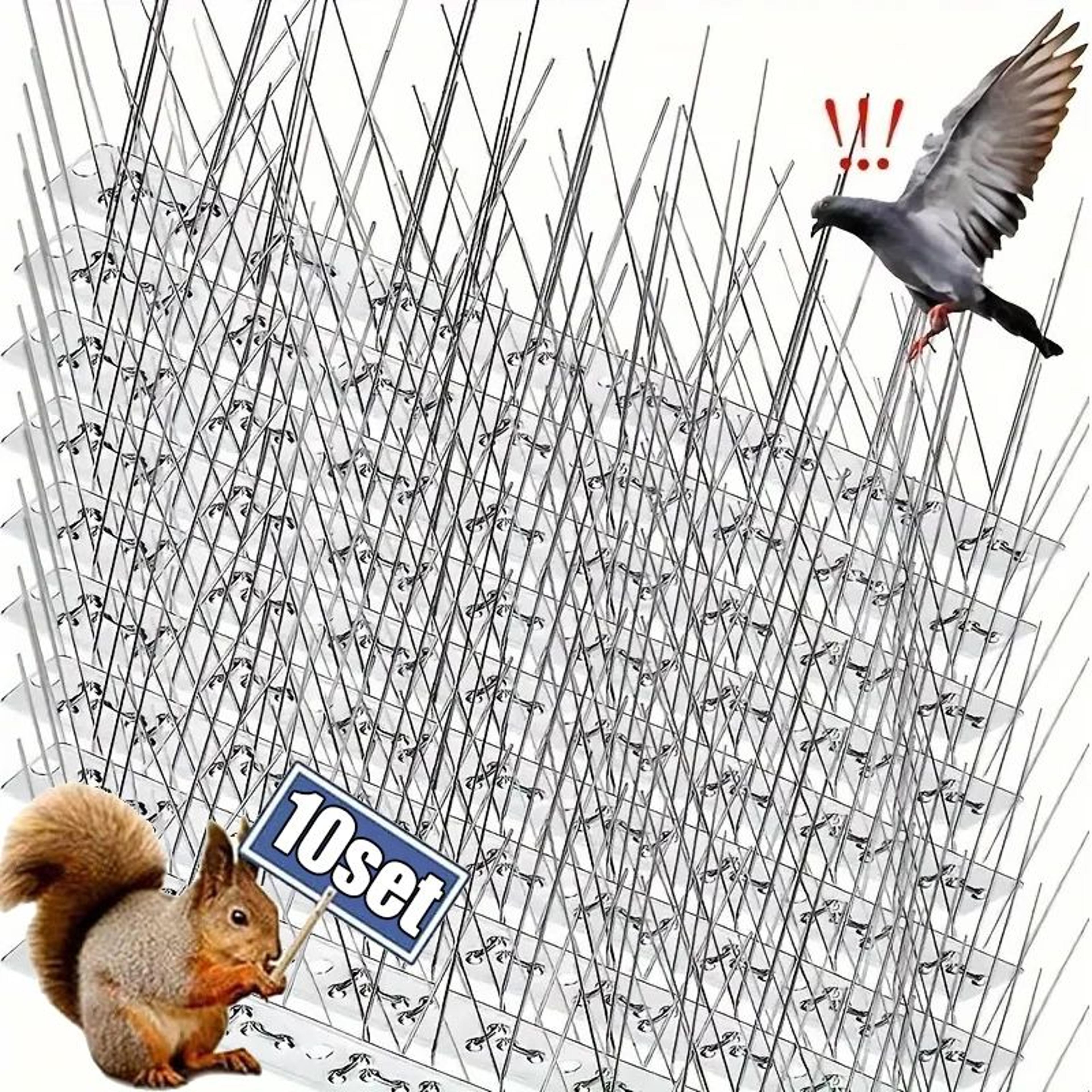 safeguard stainless steel bird spikes for roofs, fences & balconies