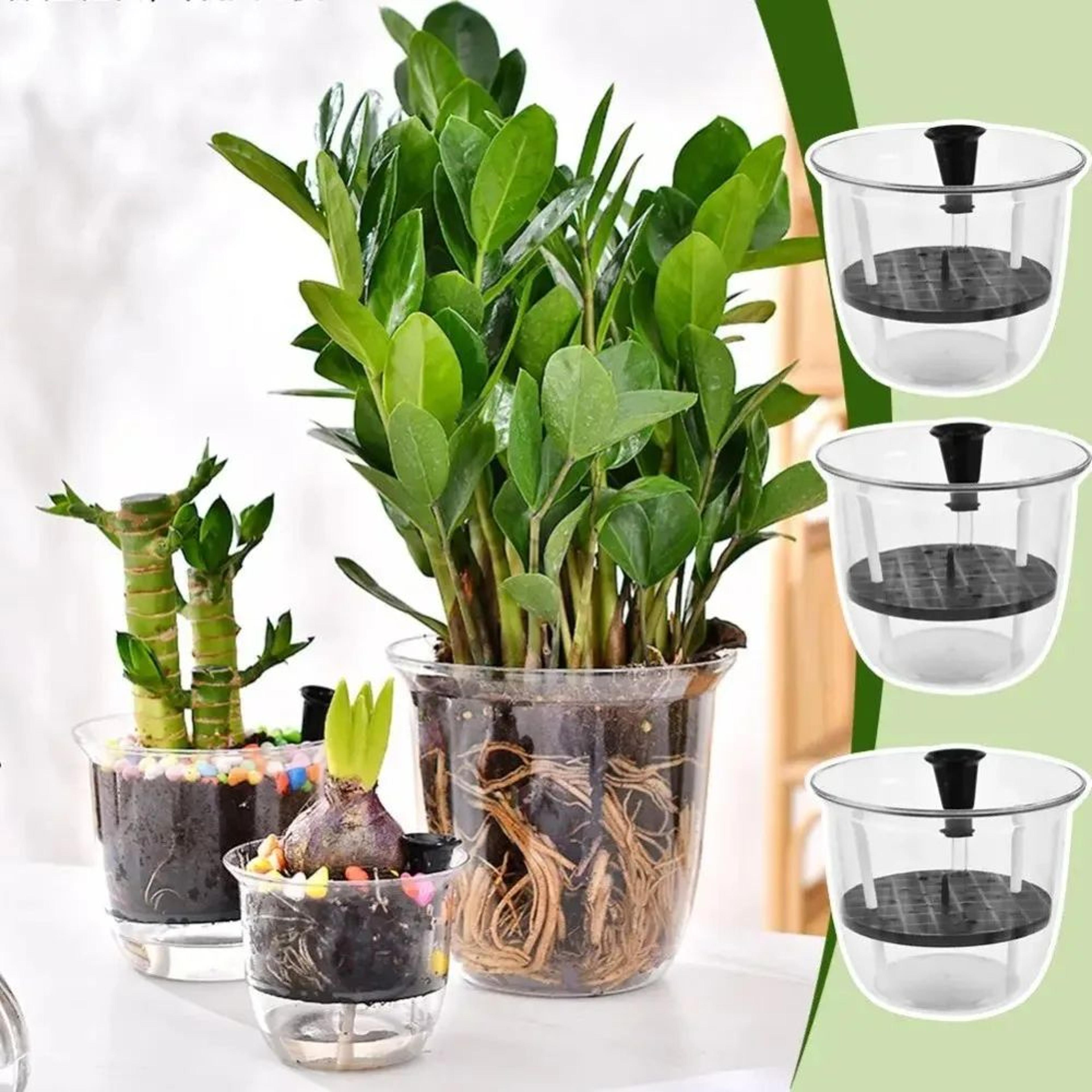 2pcs clear self-watering pots with deep reservoir for indoor plants