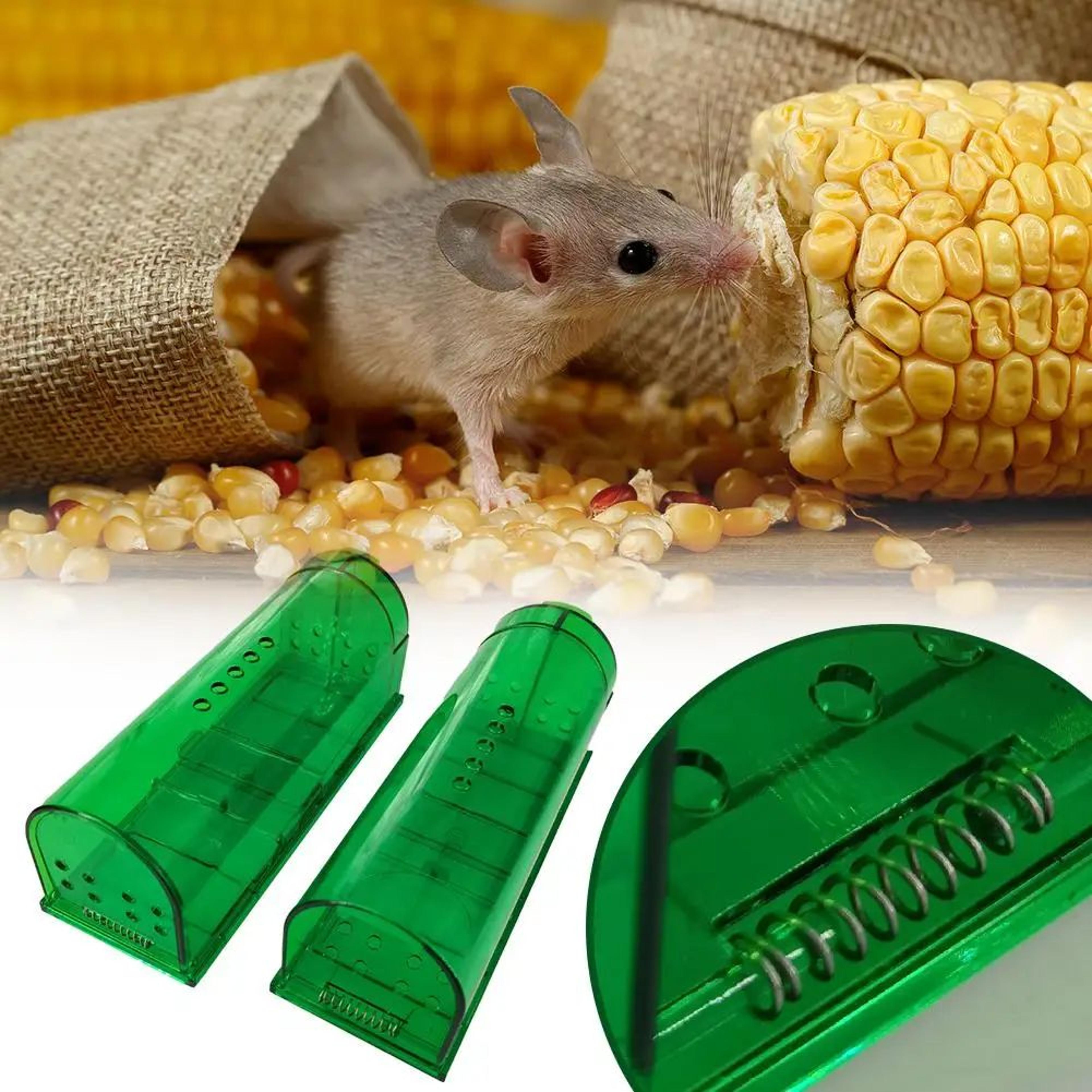 smart self-locking humane mouse trap transparent reusable rodent catcher