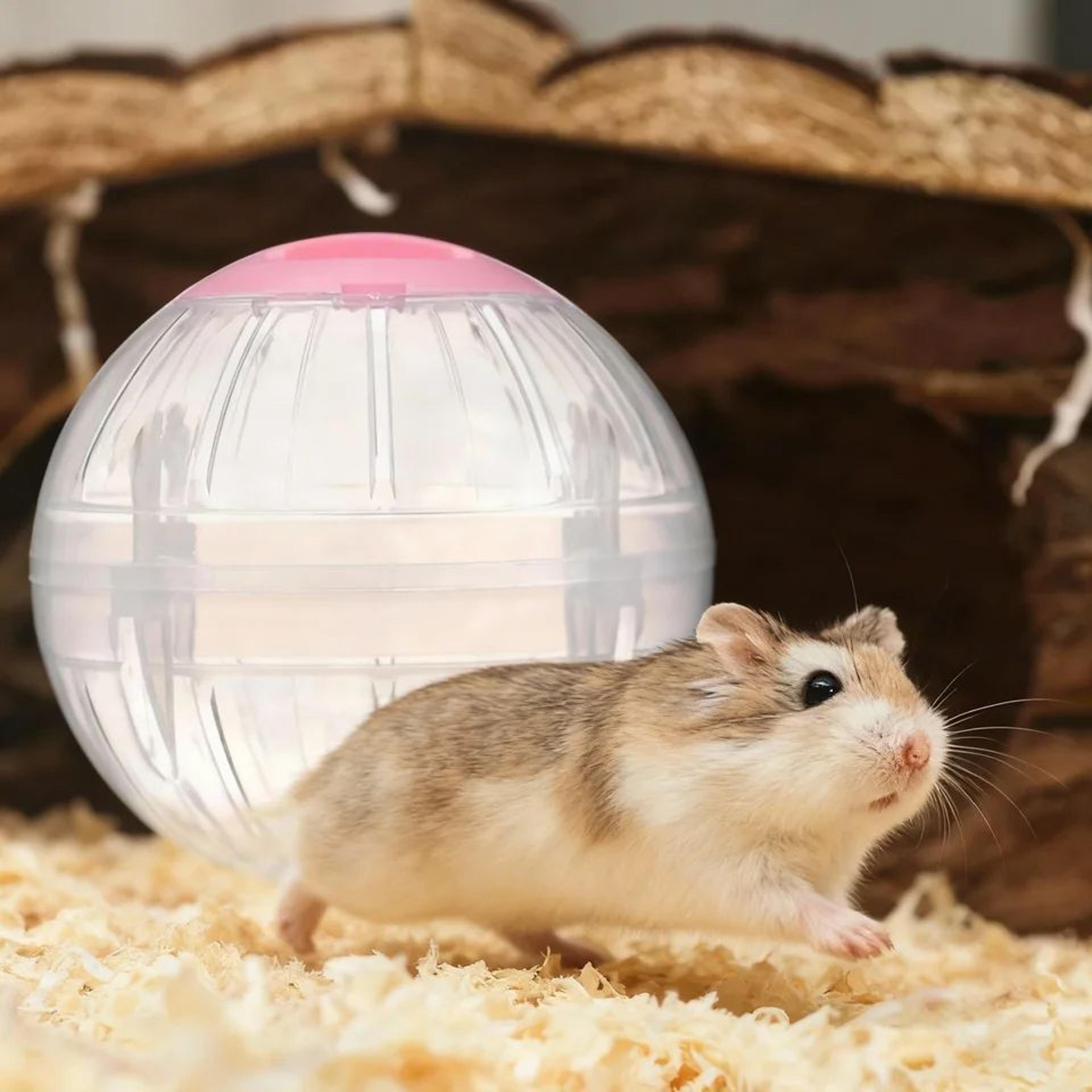 hamster exercise ball ventilated running toy for mice and gerbils