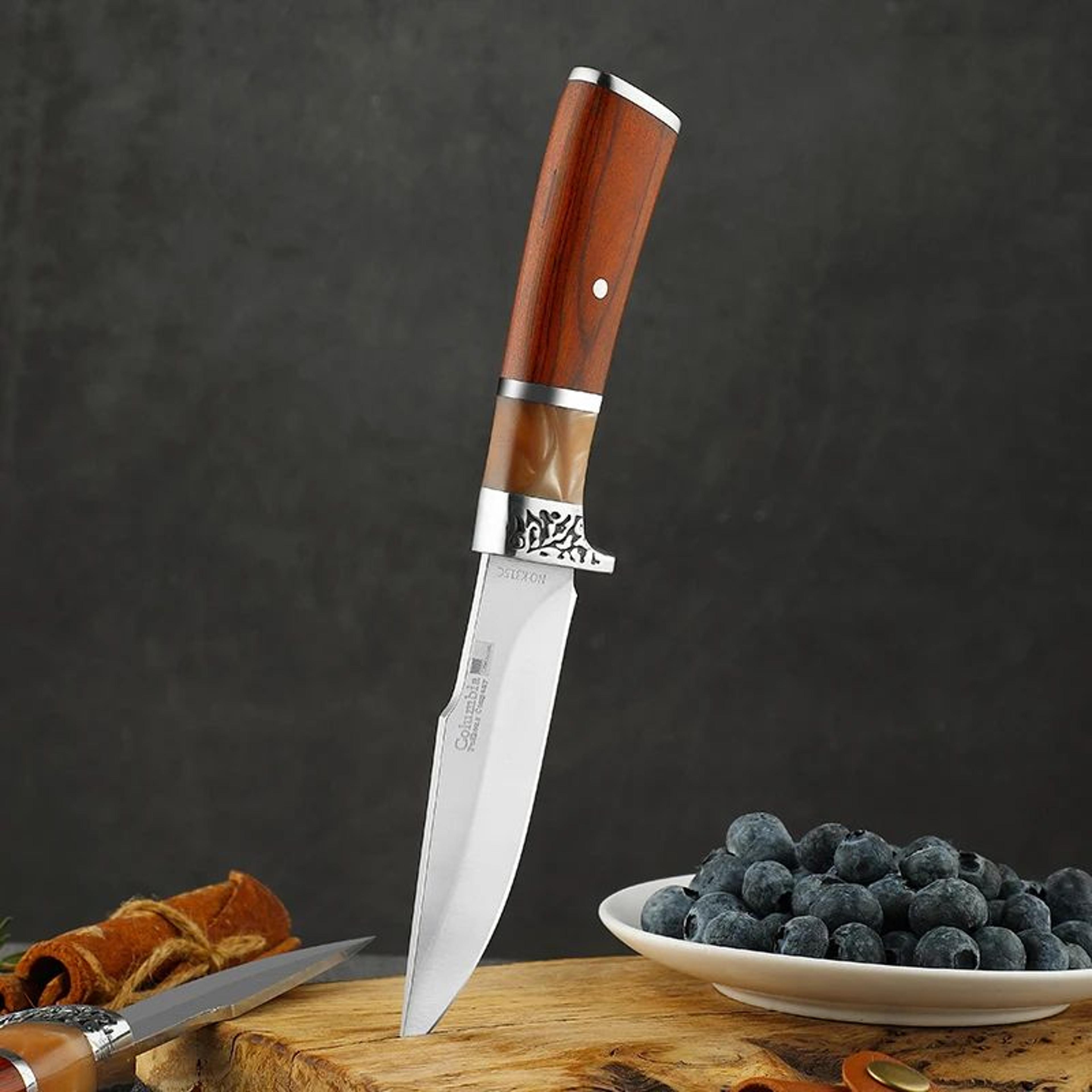 portable stainless steel pocket knife for camping, food prep and everyday carry