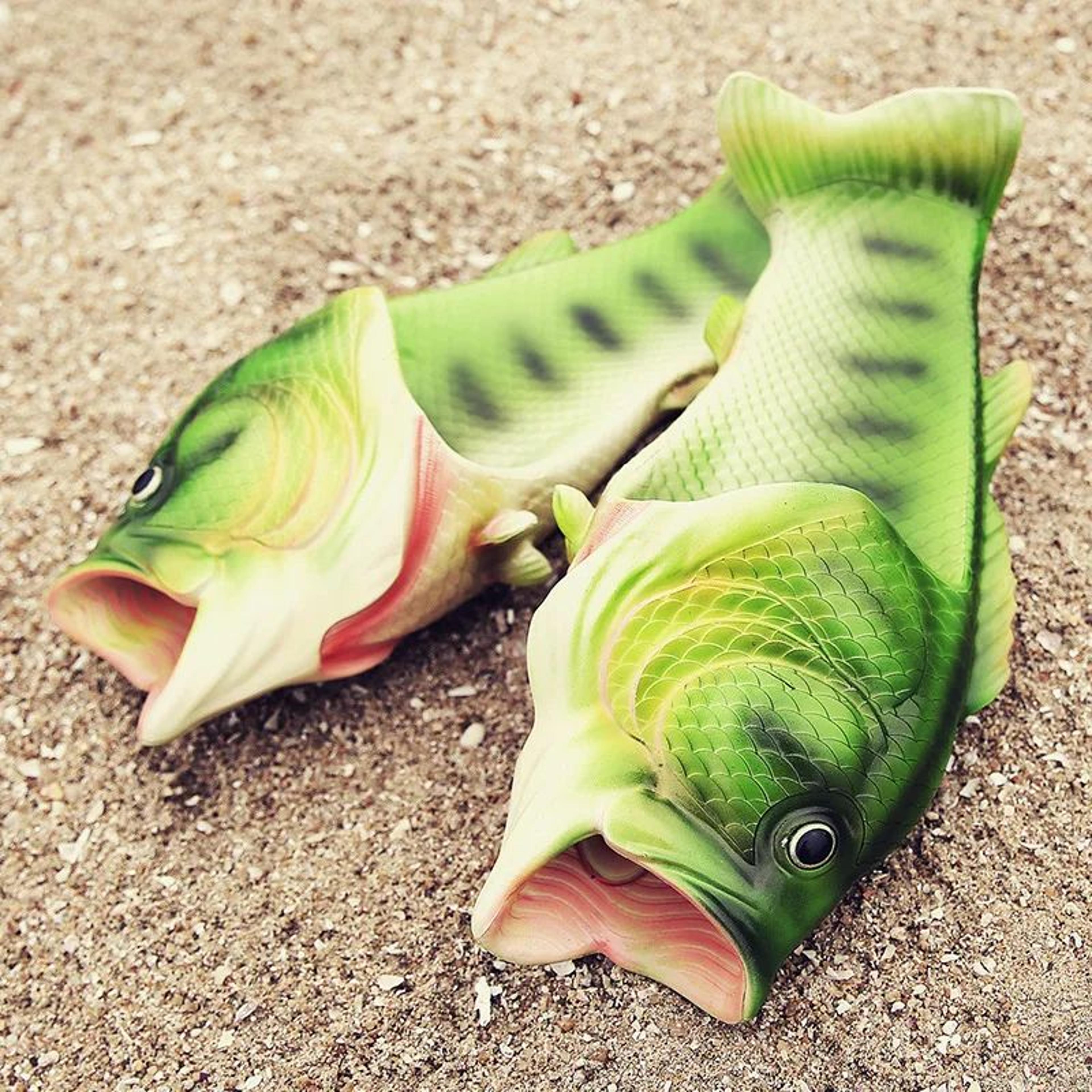 funny fish slippers non-slip bass beach sandals for men and women
