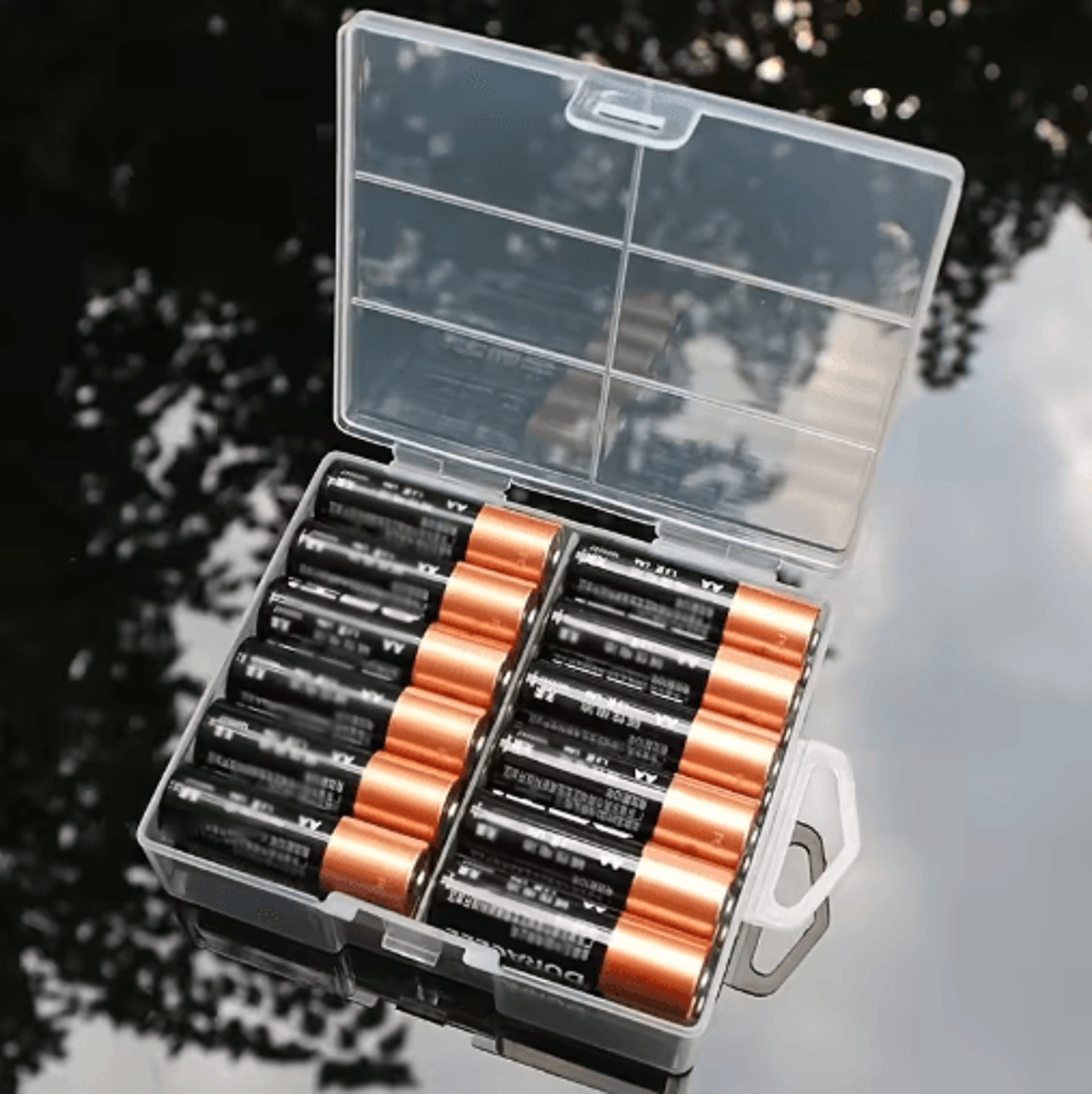 aa and aaa battery storage box transparent organizer holds 24 batteries