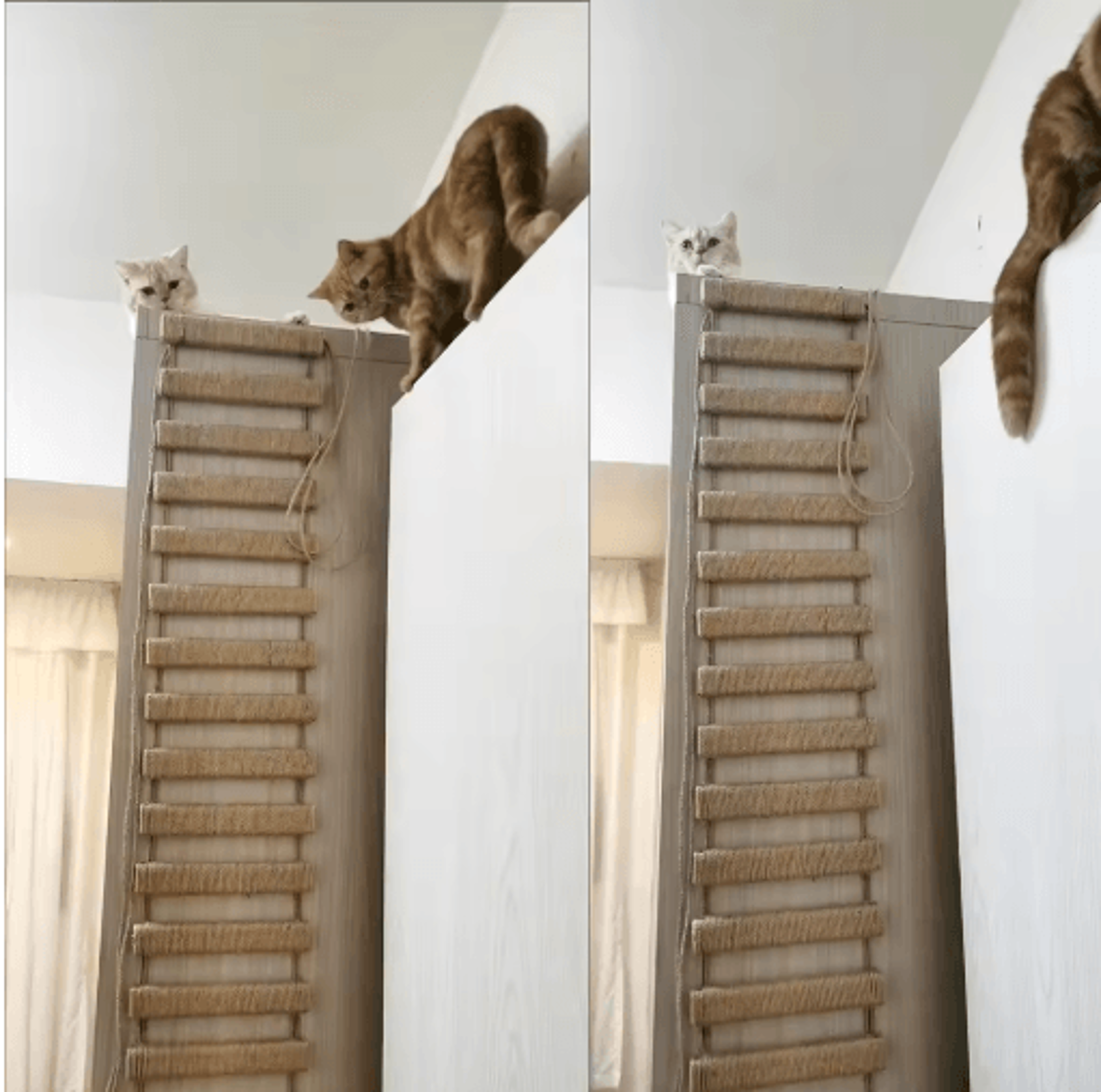 wooden cat climbing frame bridge with sisal rope ladder