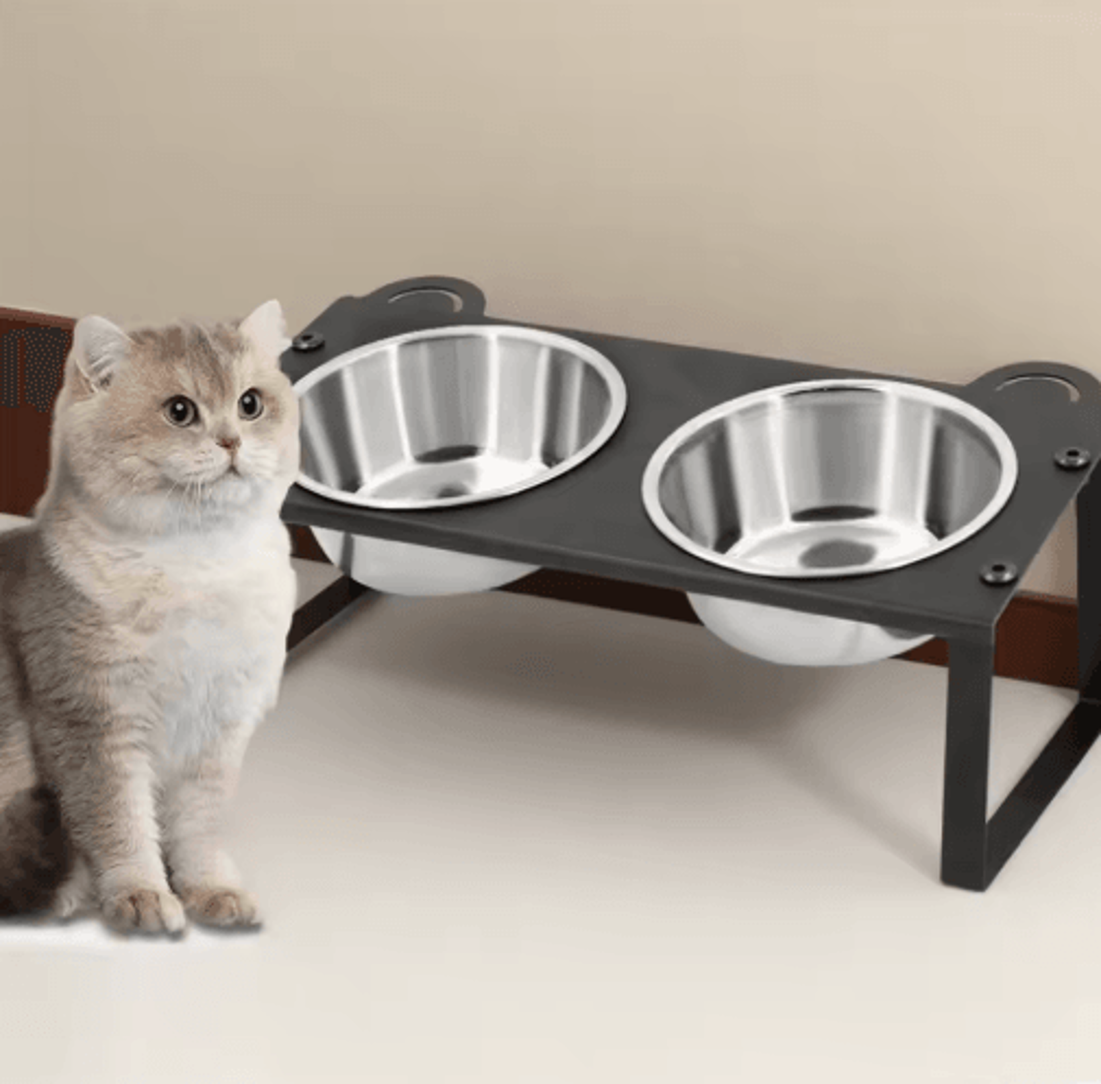 15° tilted elevated cat feeder with double stainless steel cat bowls & cute metal stand