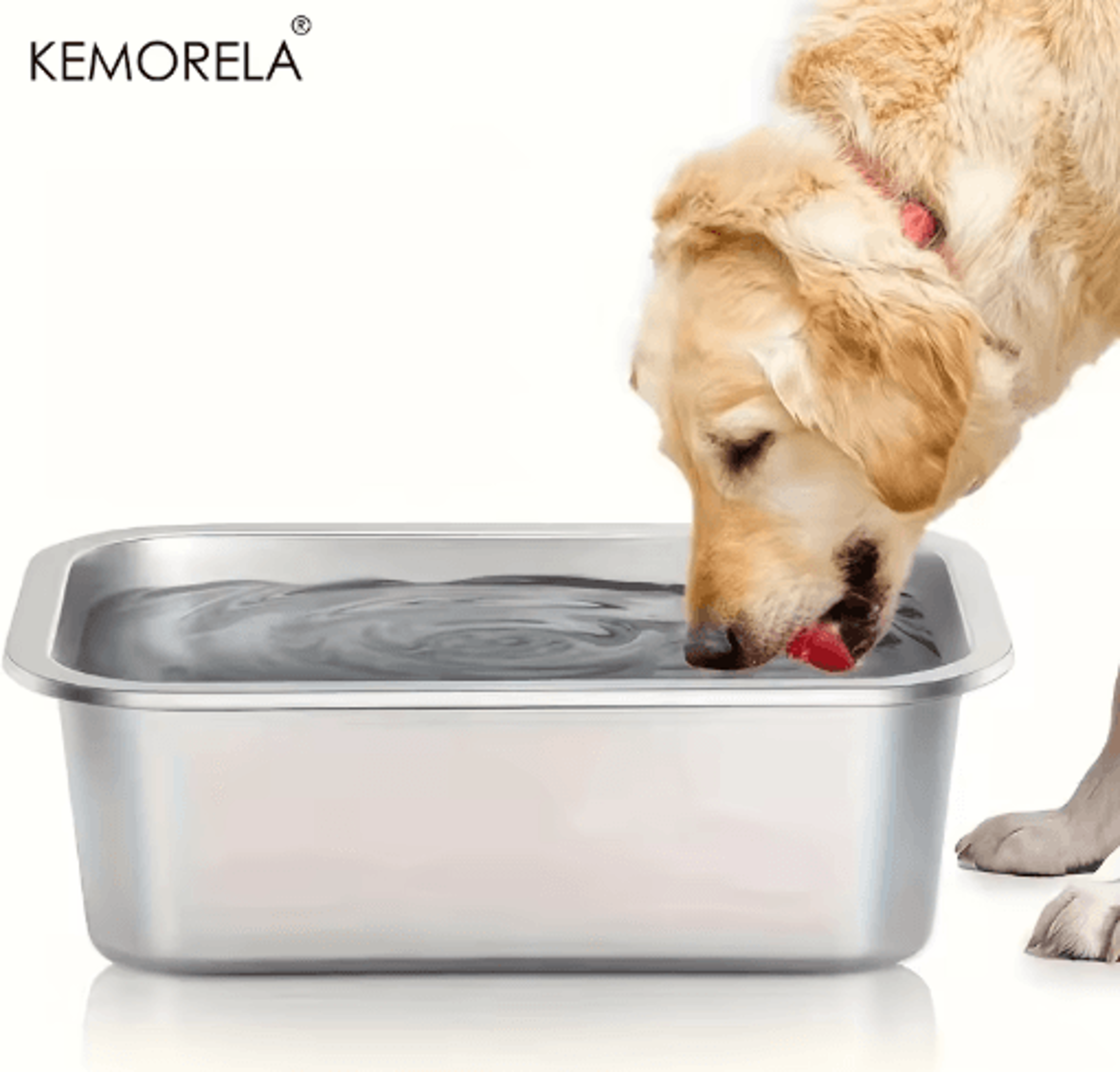 large-capacity stainless steel dog bowl heavy-duty, anti-fall feeding & drinking basin