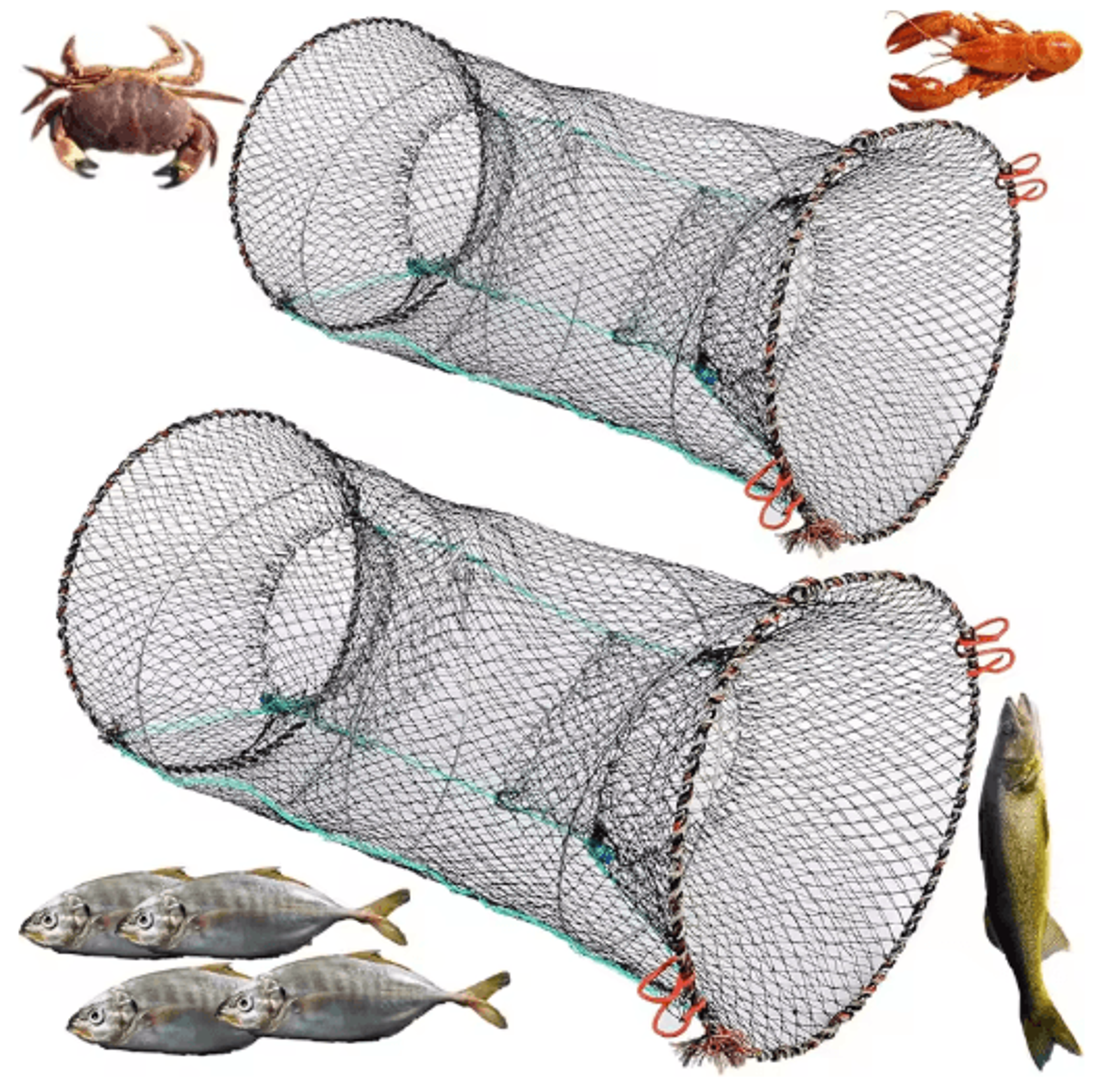 collapsible fish trap net for crayfish crab and shrimp telescopic foldable fishing cage