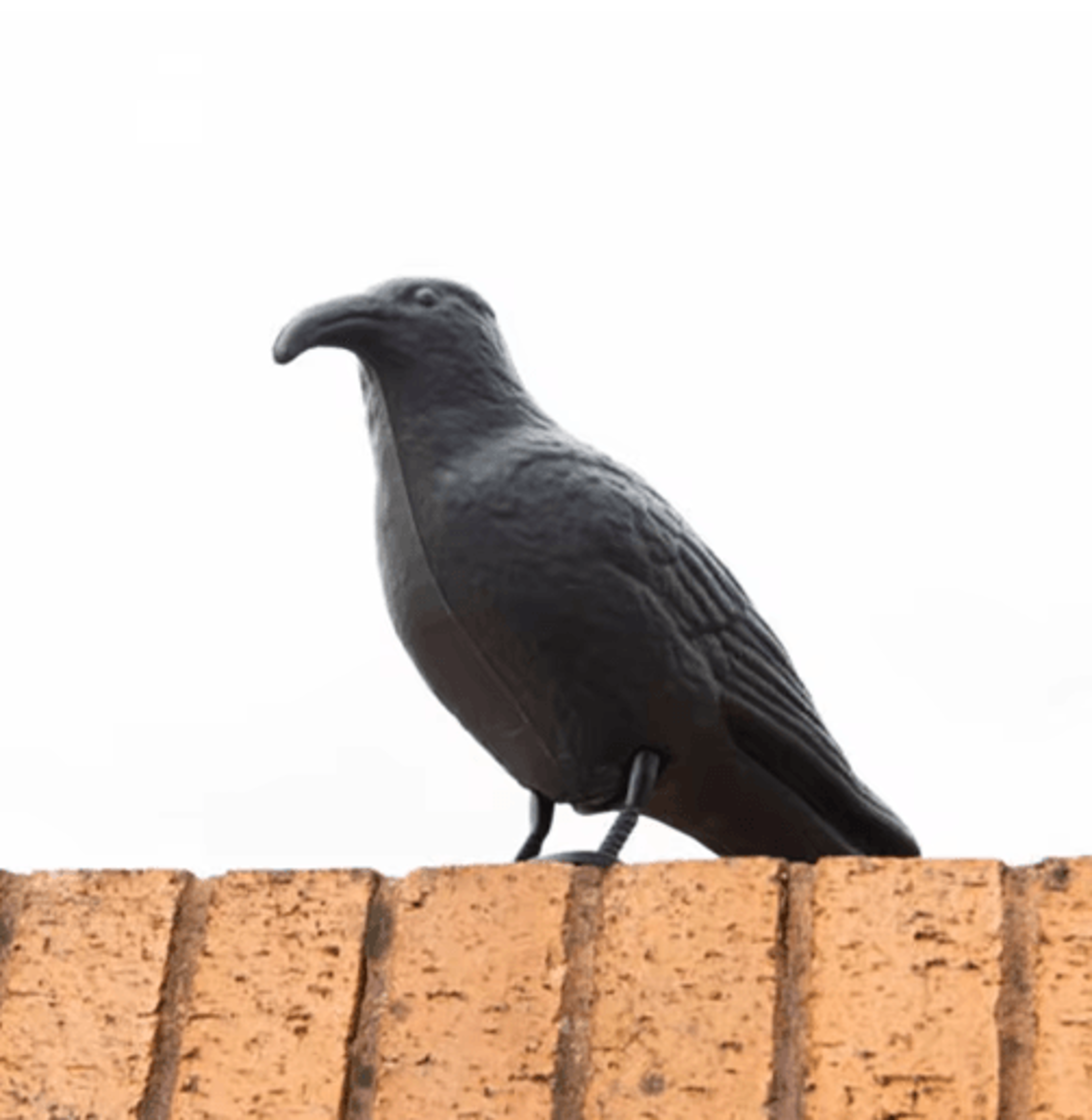 realistic black crow decoy for garden bird control and yard decor