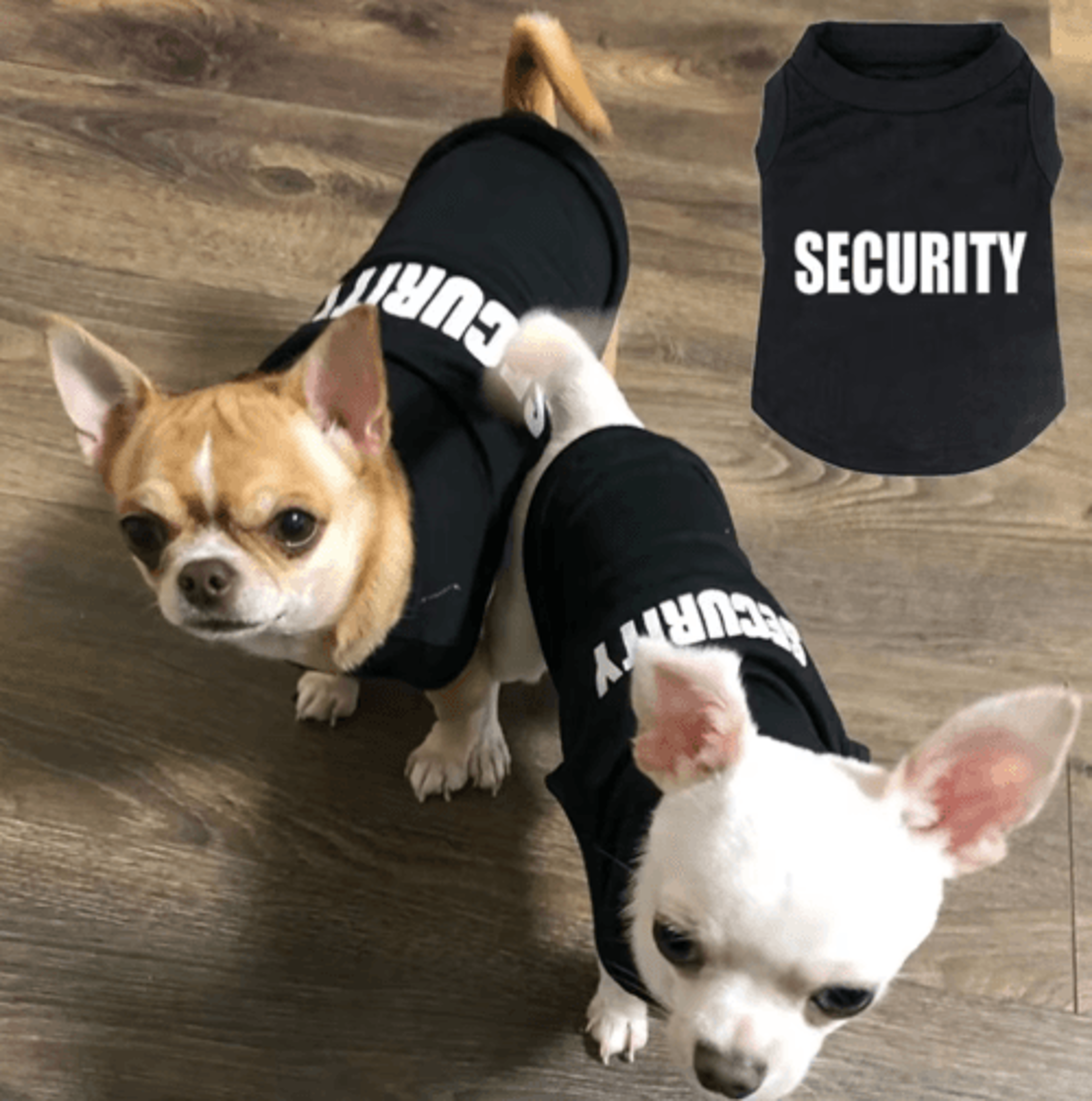 summer dog security vest – lightweight puppy t-shirt costume for small dogs & cats