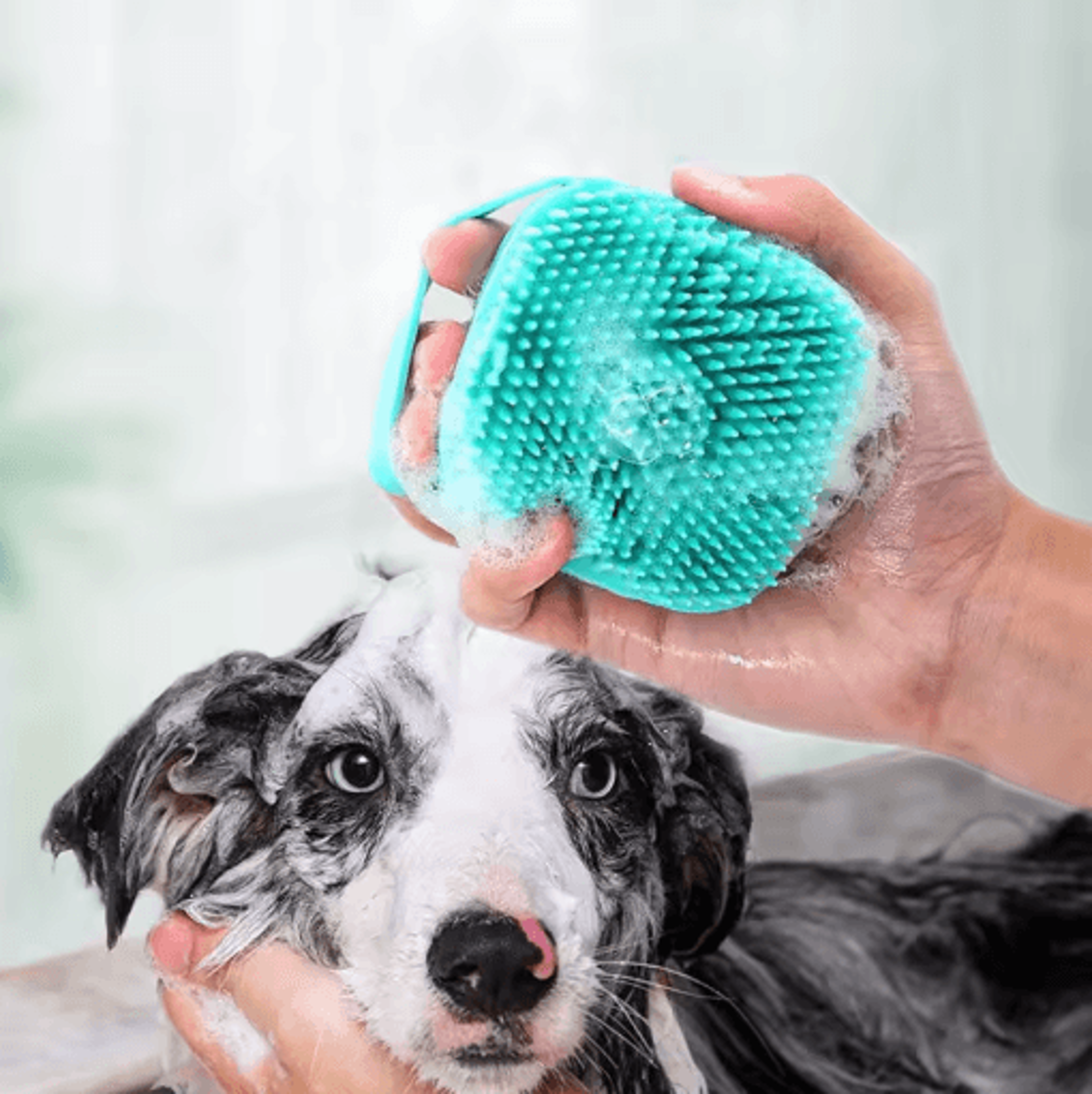 soft silicone pet bath brush gentle grooming & shampoo massager for dogs & cats