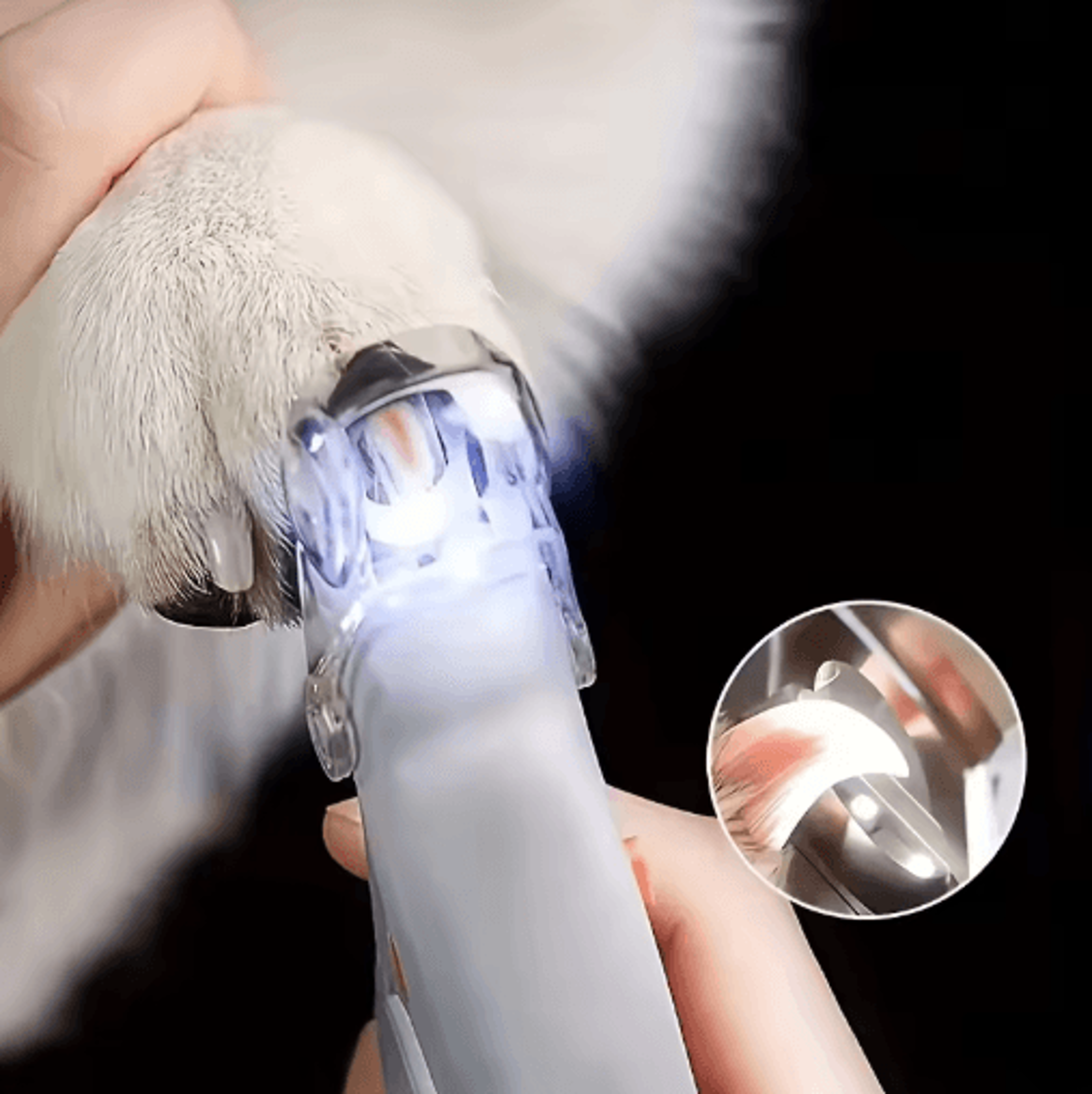 led pet nail clipper safe & precise grooming tool for dogs & cats