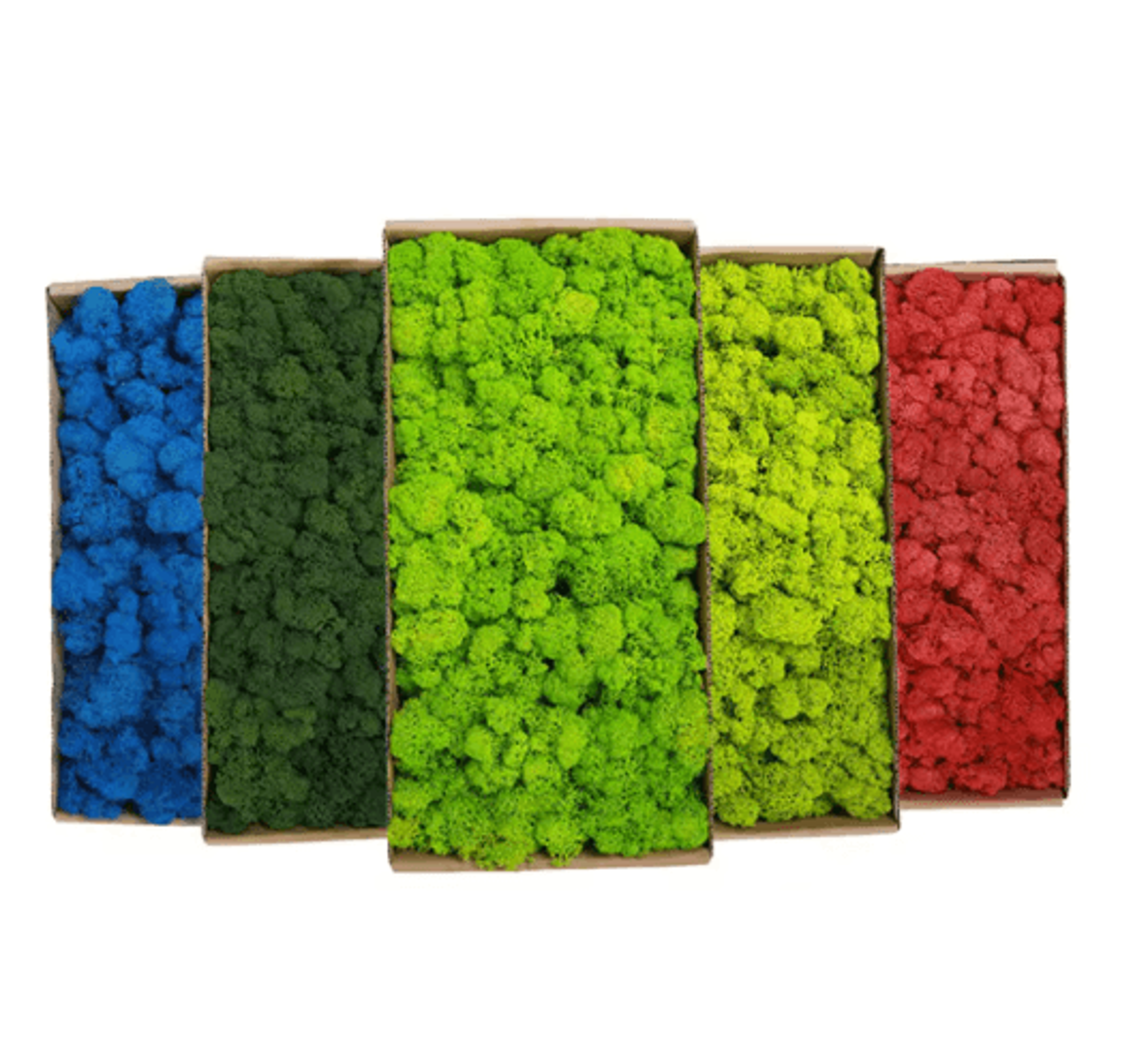 artificial moss grass decor 200g mini landscape greenery for diy & home styling