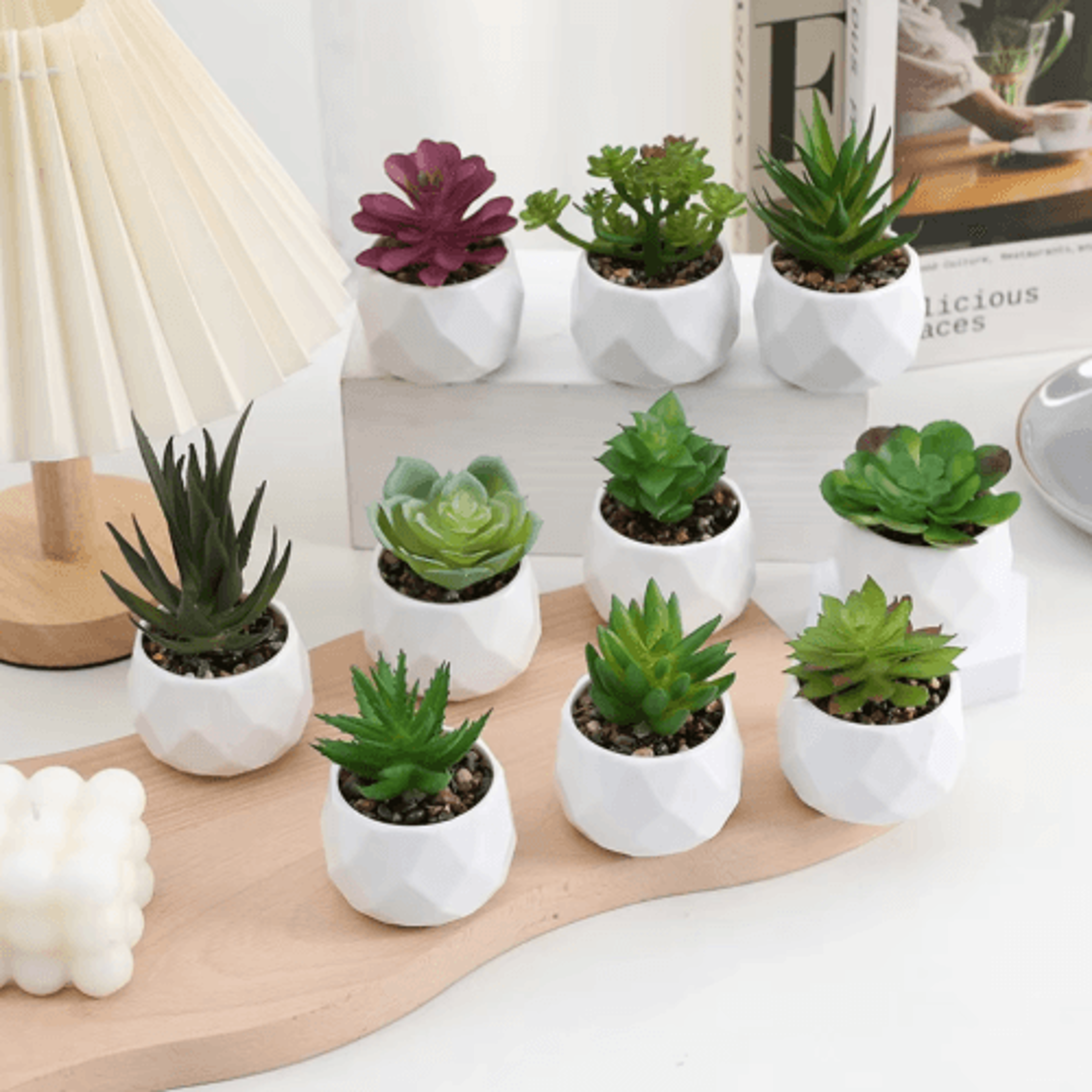 artificial succulent bonsai set – mini evergreen cactus plants for desk & home decor