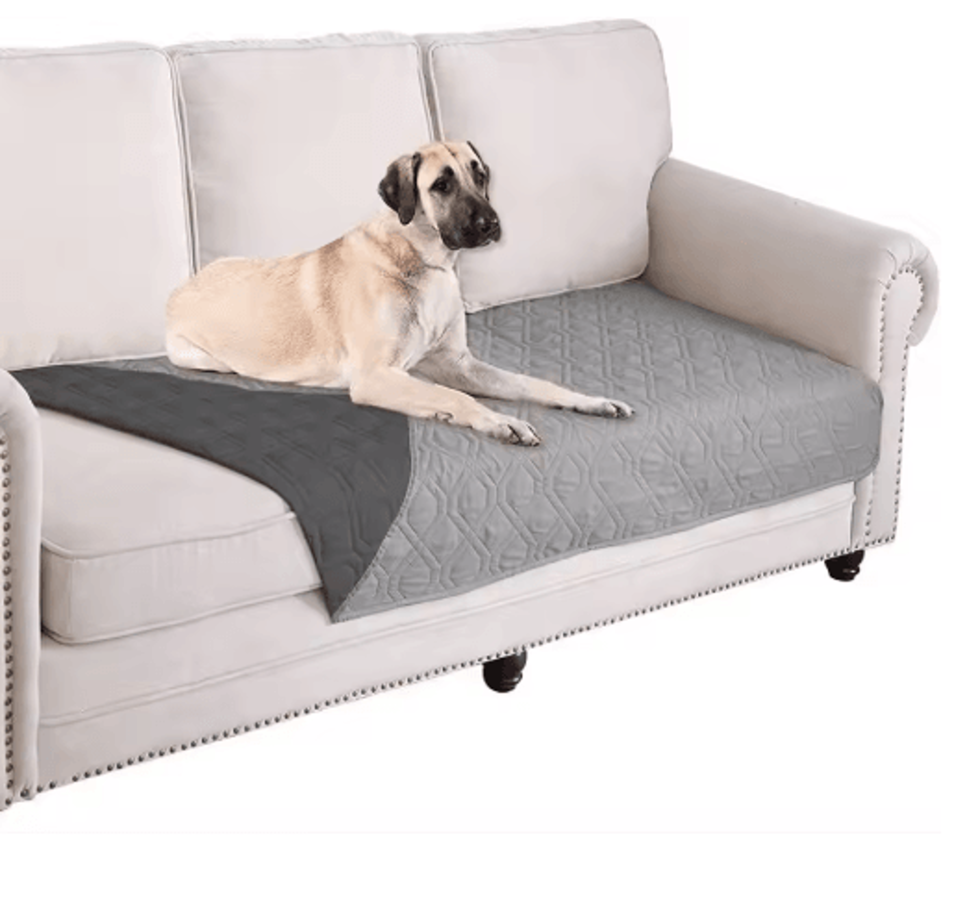 waterproof pet sofa cover – washable universal couch protector for dogs & kids