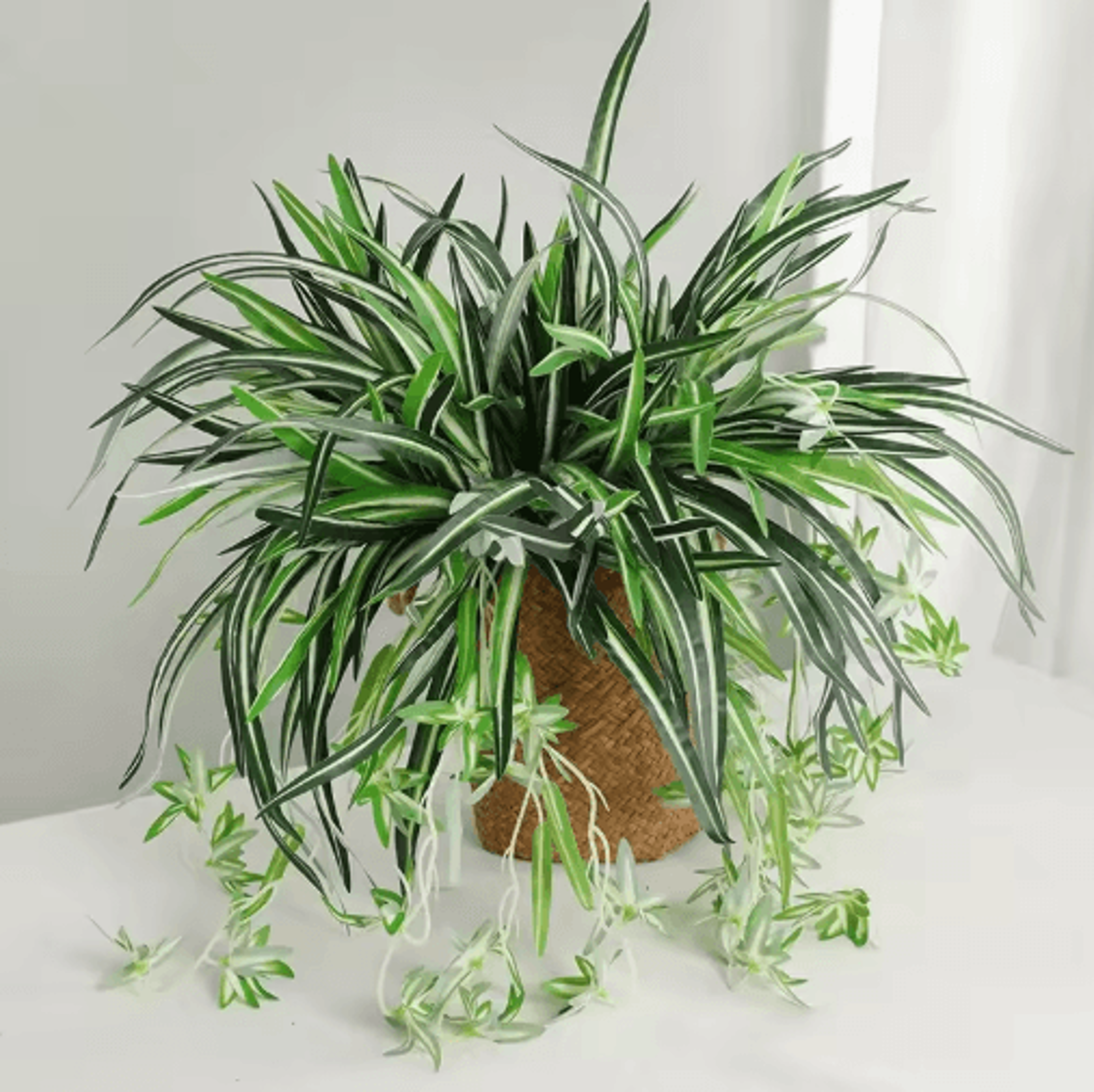 artificial orchid wall decor – hanging green plant for restaurant, wedding & home walls