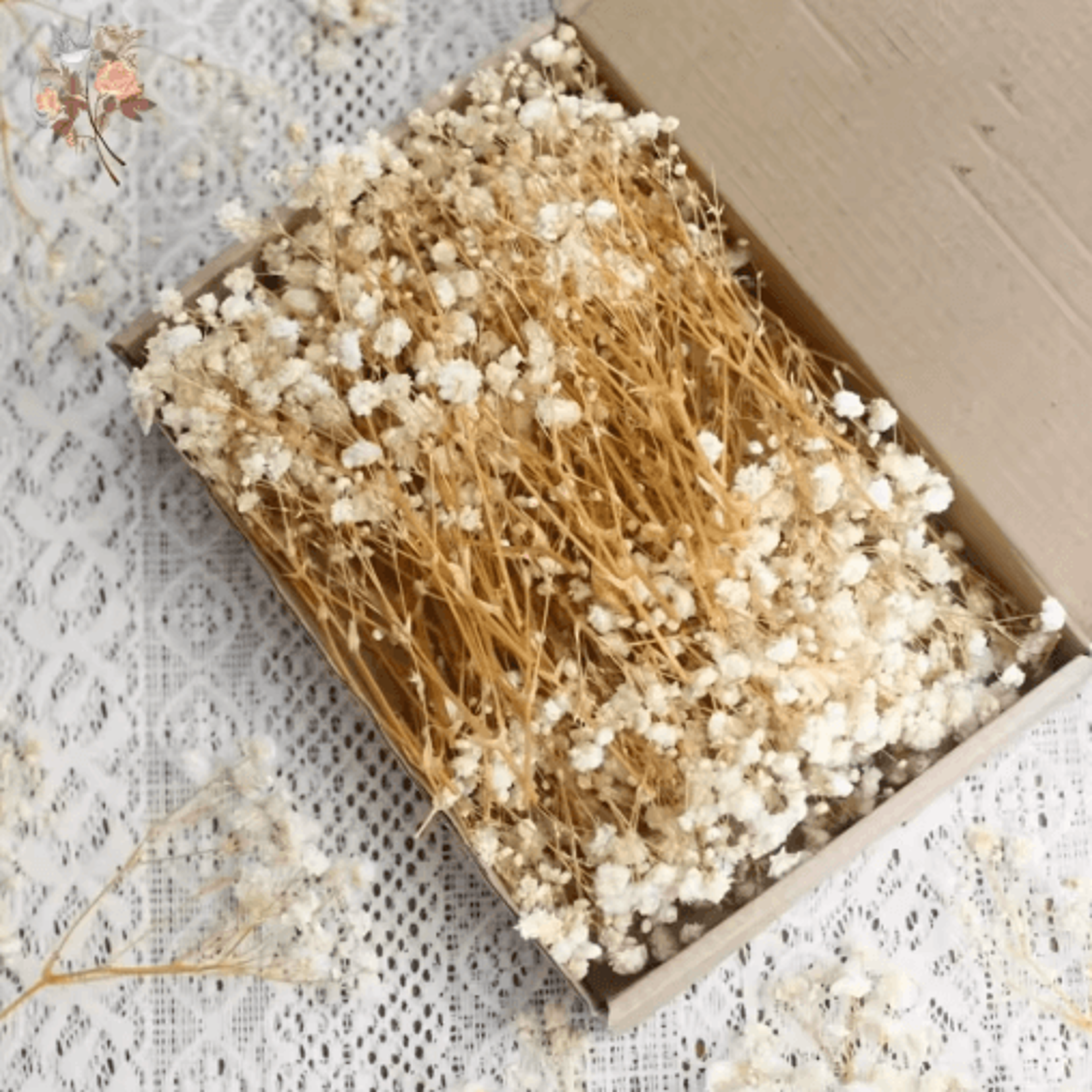 bloomcraft mini dried babys breath flowers real gypsophila for crafts & decor