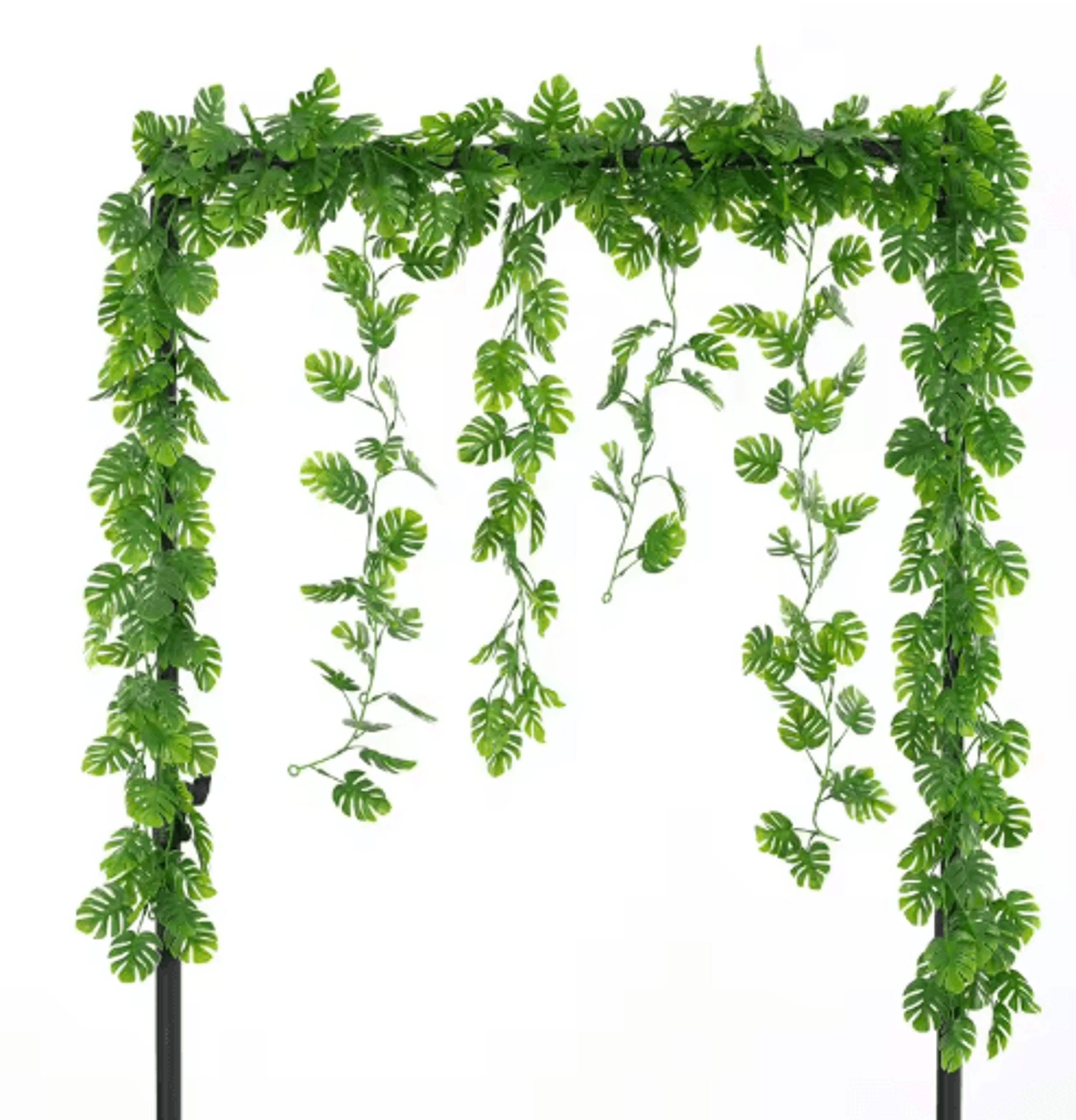 tropivine monstera hanging plants lush tropical greenery for home & events