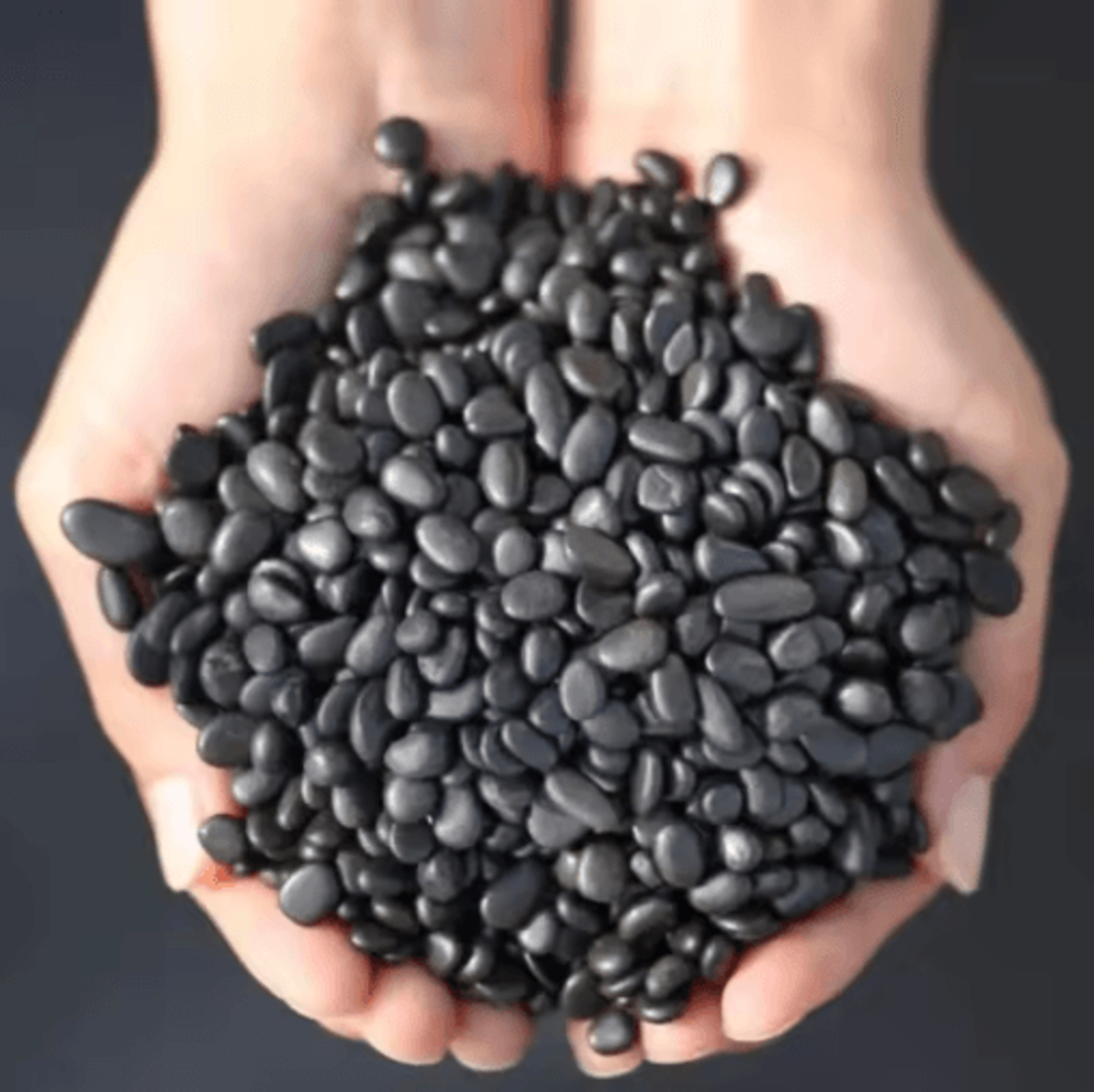 natural shungite crystal gravel healing stones for water purification & home decor