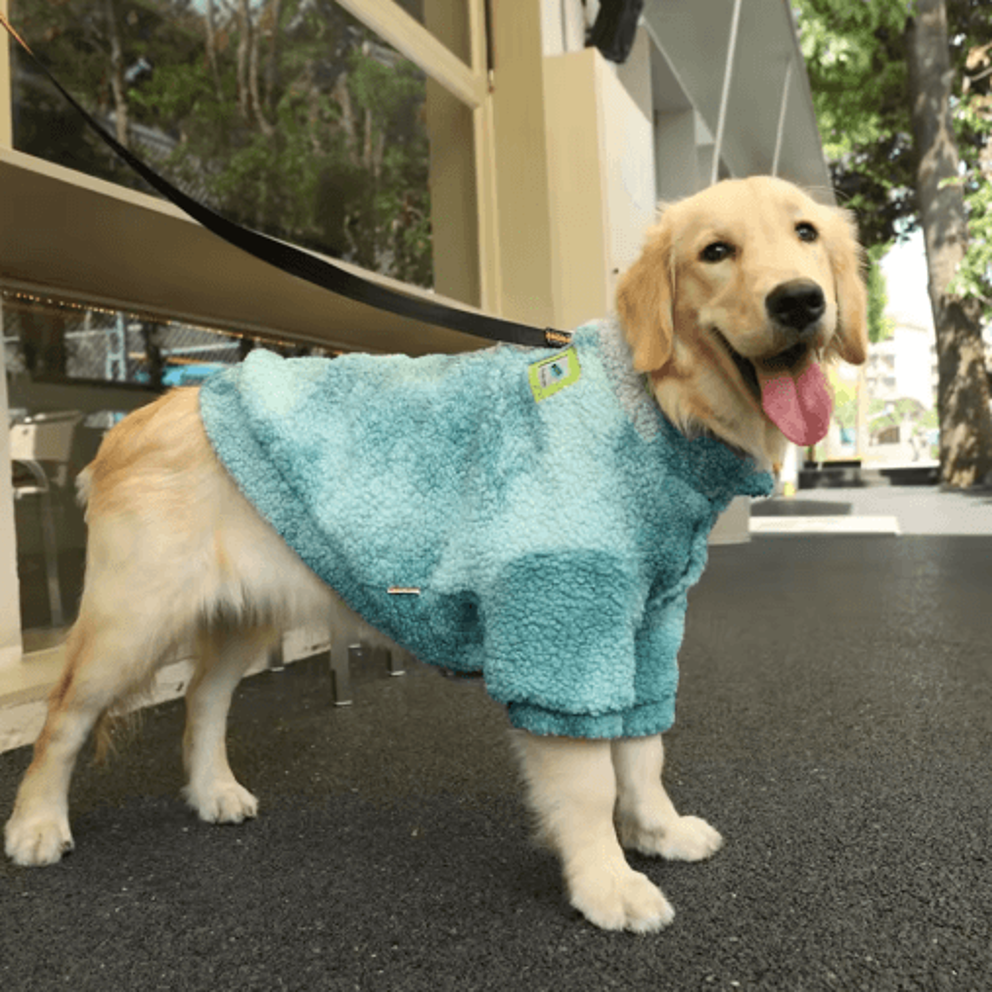 hoopet winter lambswool dog jacket for medium & large dogs