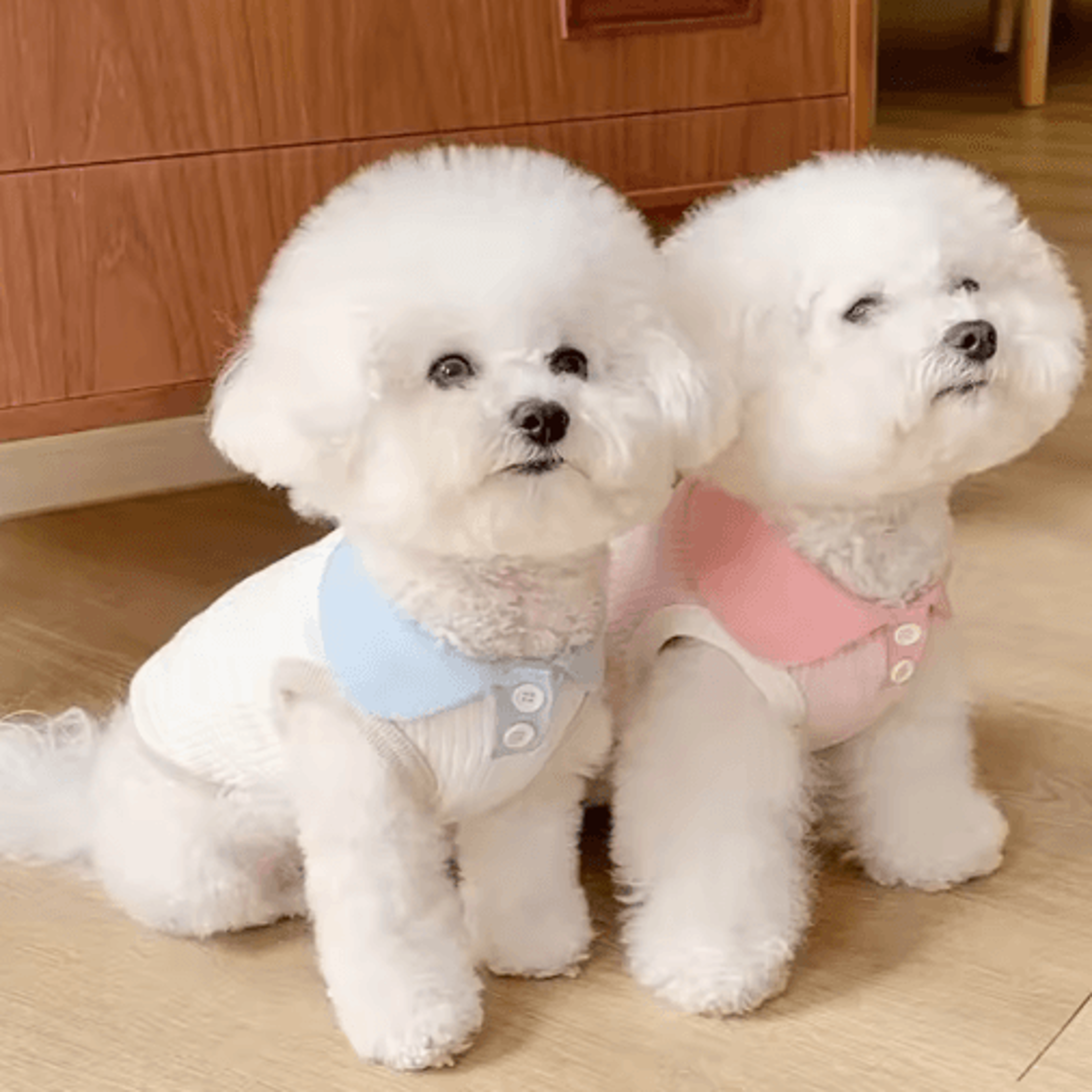 breezypaws lightweight dog summer clothes shirt for small pets
