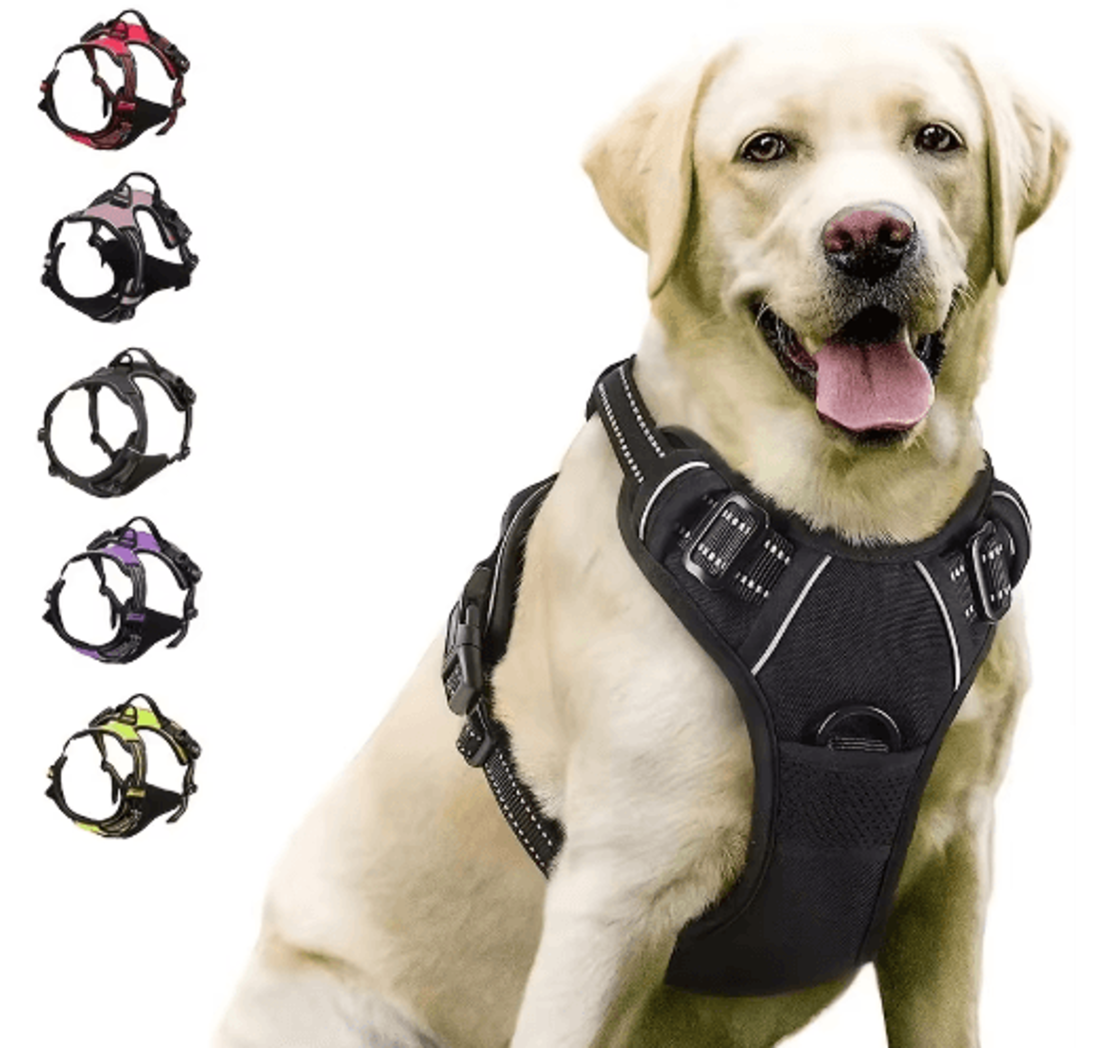 trailguard leather dog harness set with collar & leash for small to large dogs