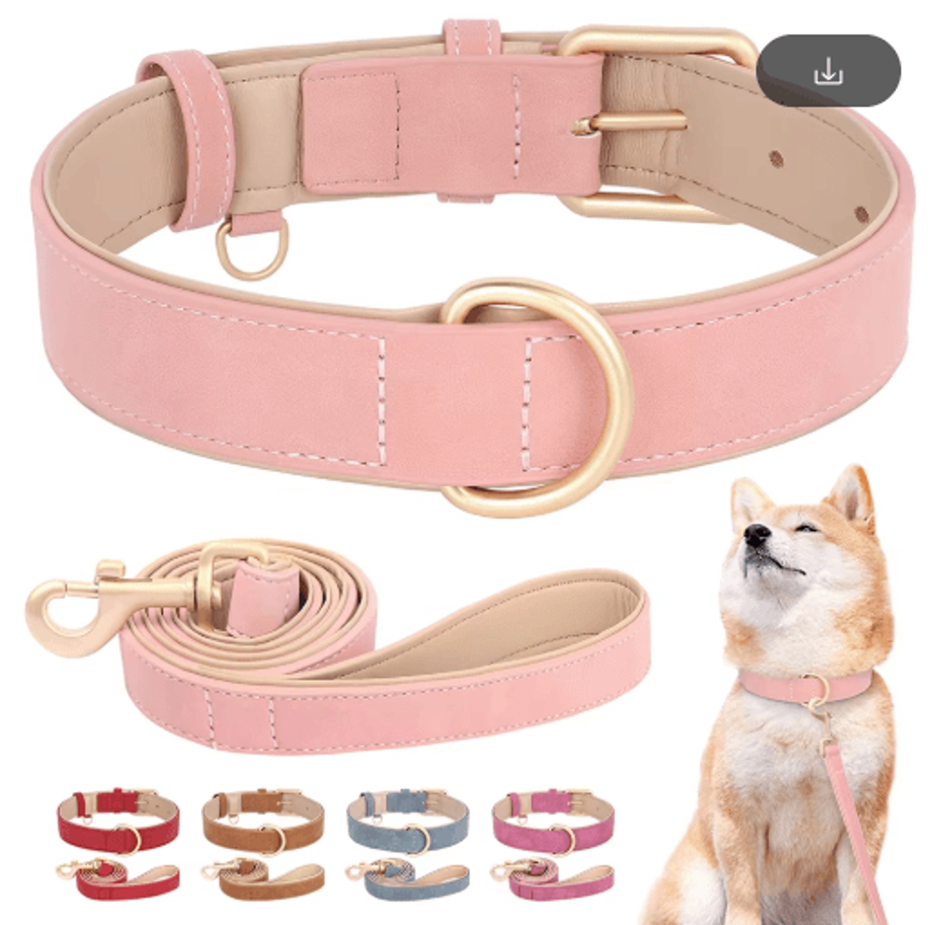 luxewalk padded dog collar and leash set for small & medium dogs