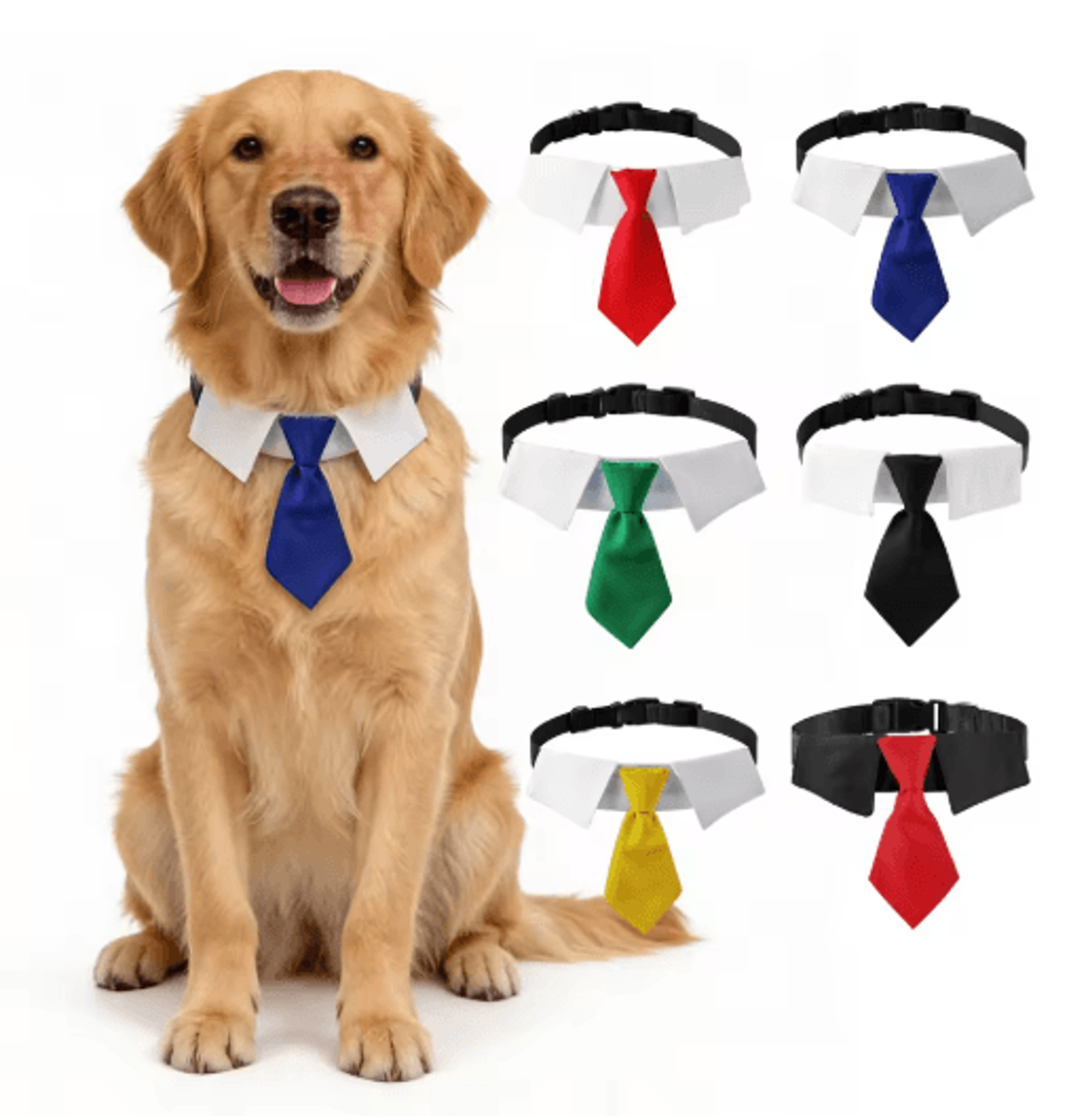 sucado elegant dog wedding suit with formal necktie collar