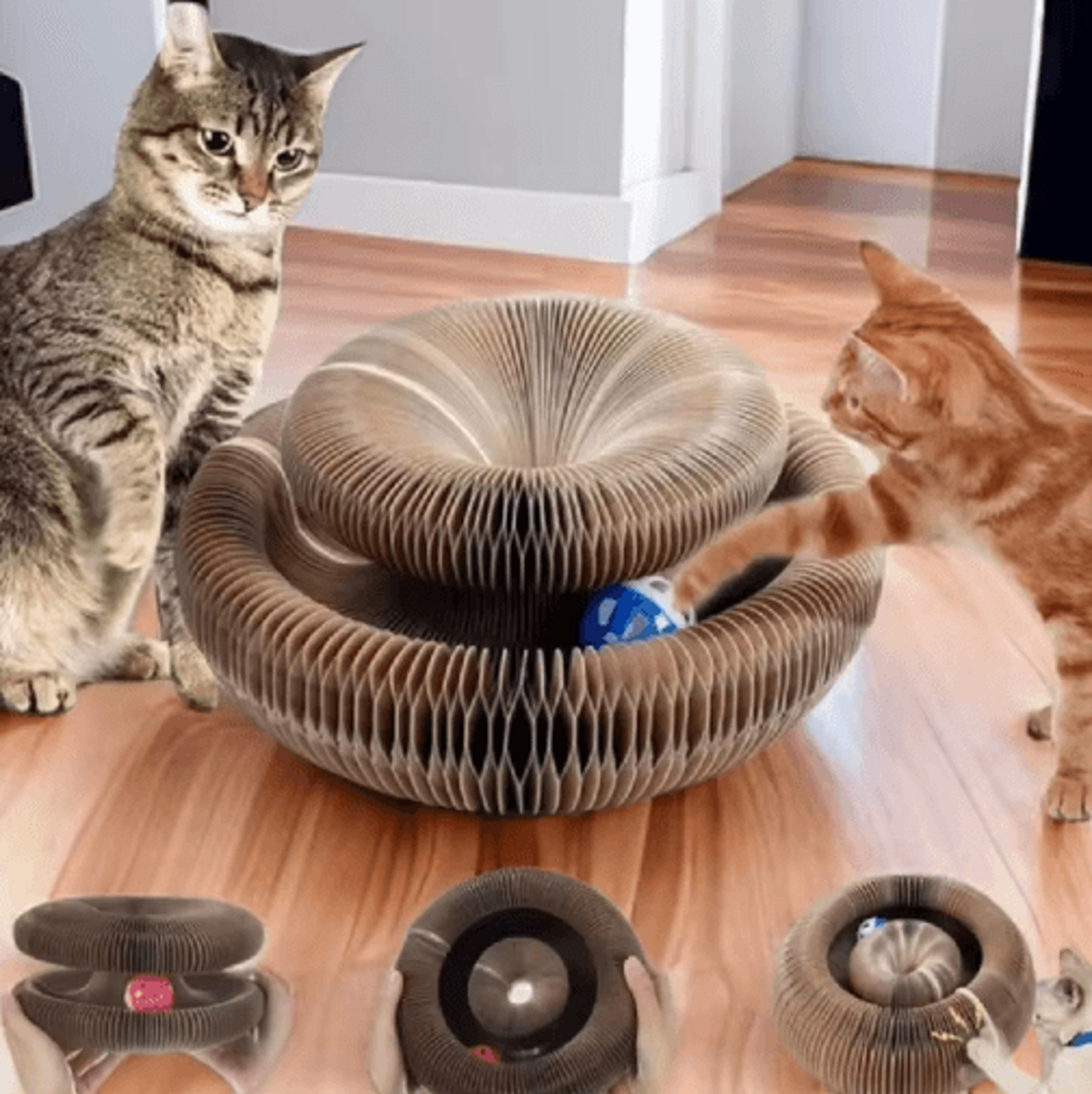 foldable magic organ cat scratching board & interactive cat bed toy