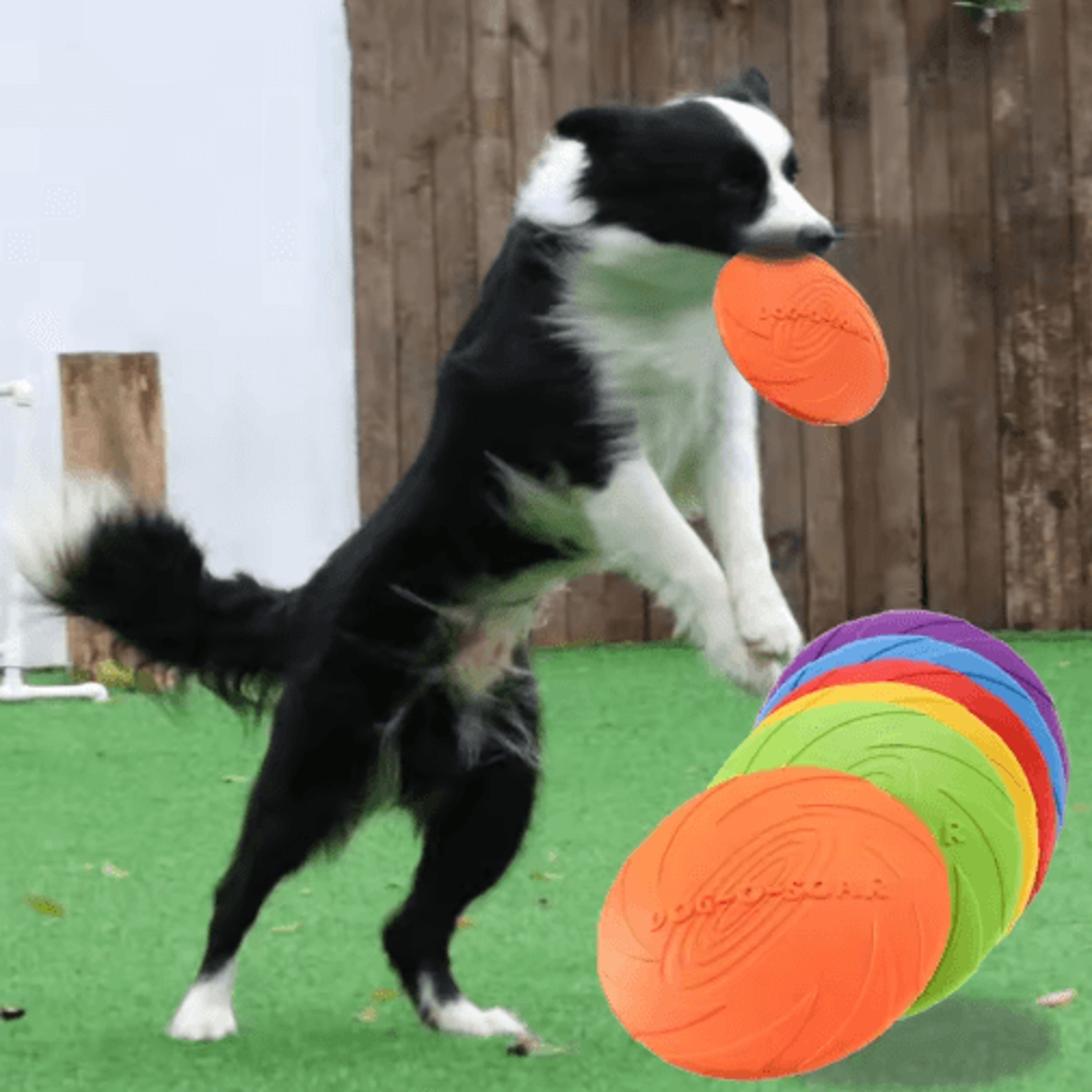 interactive silicone flying disc toy for dogs & cats – chew resistant training flying saucer