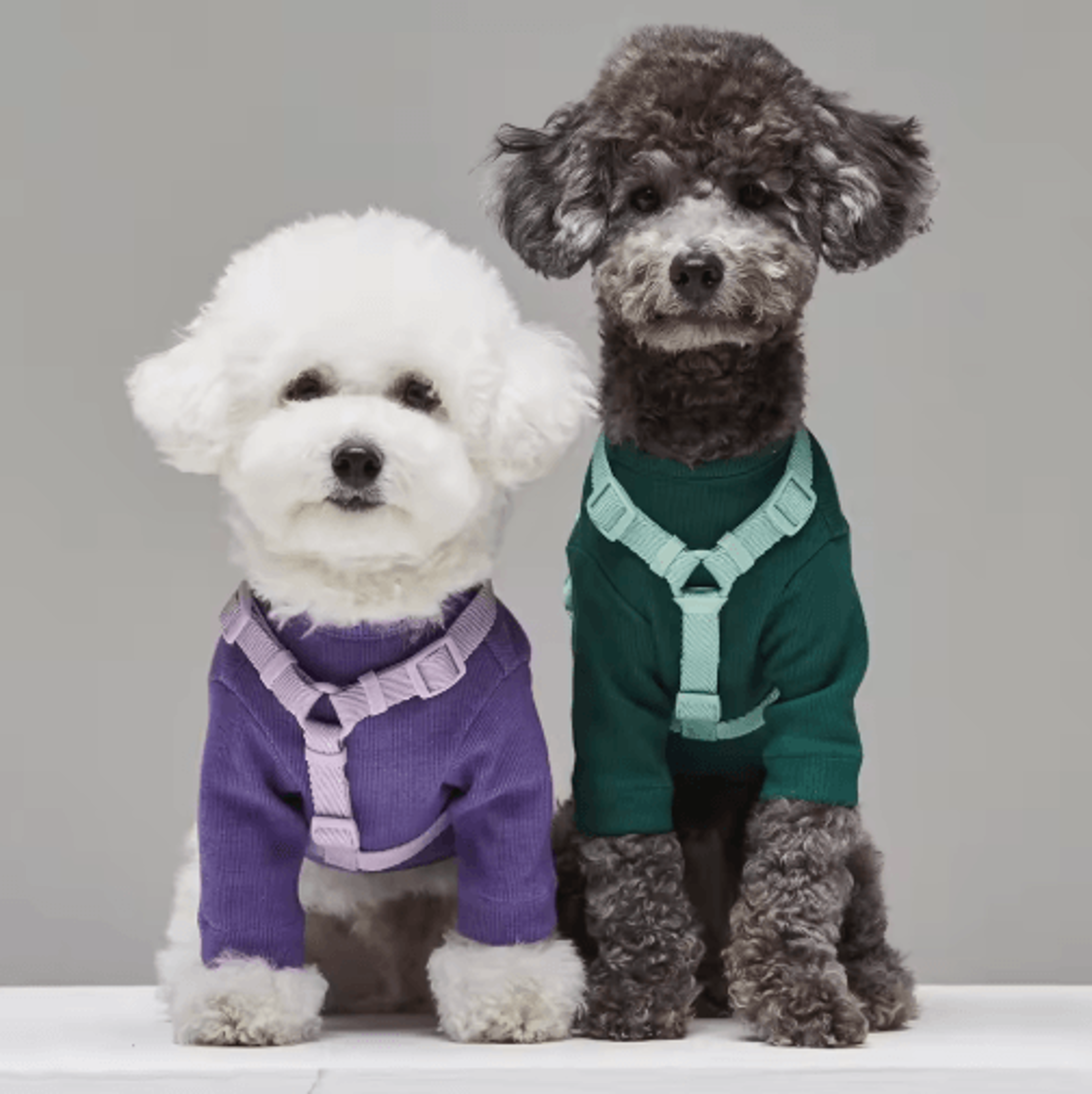 macaron dual head pet harness & leash set adjustable vest for small & medium dogs
