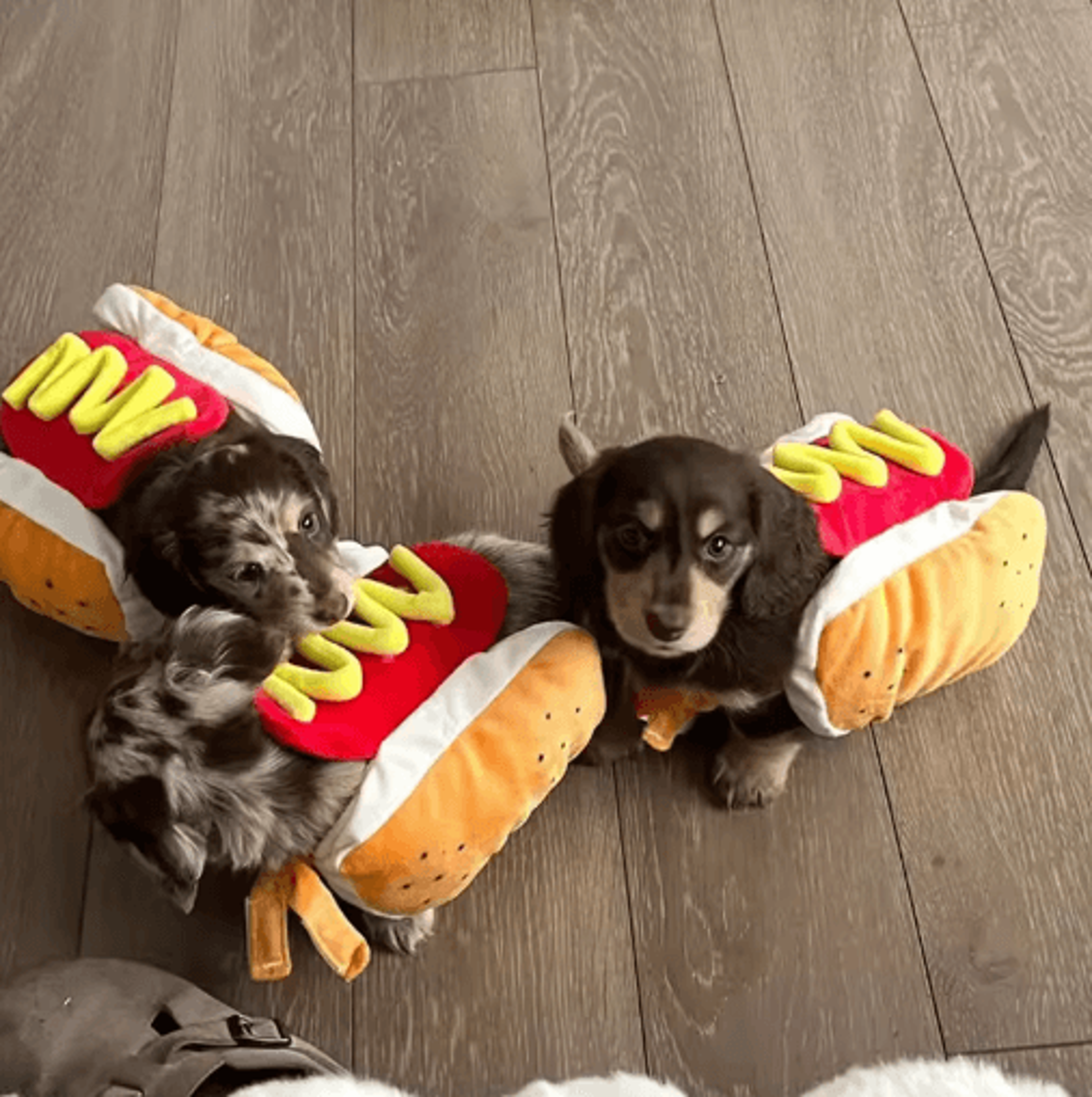 funny holiday pet costume adjustable cosplay outfit for dogs & cats