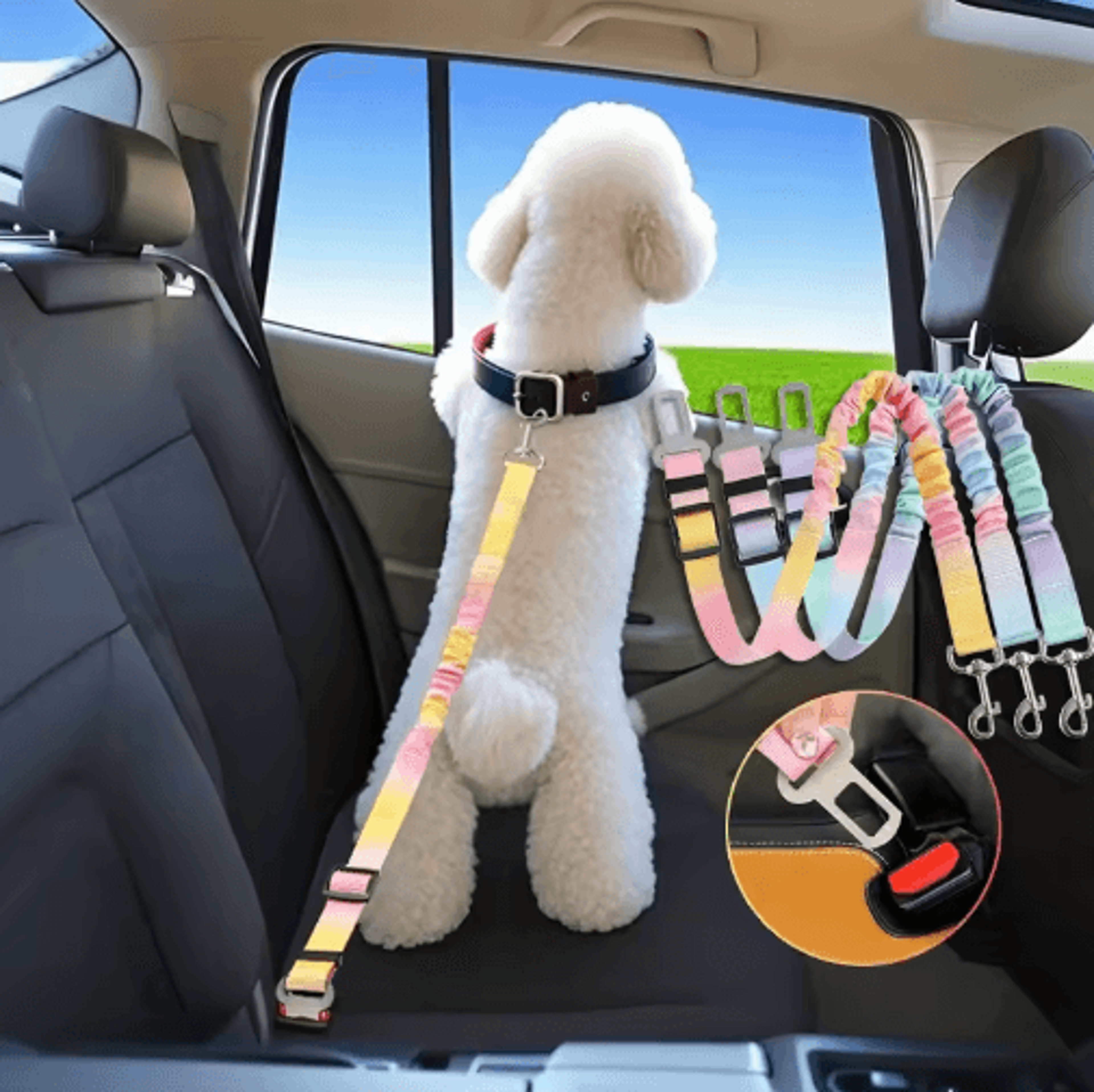 adjustable car safety buckle dog leash – gradient pet seat belt for safe travel